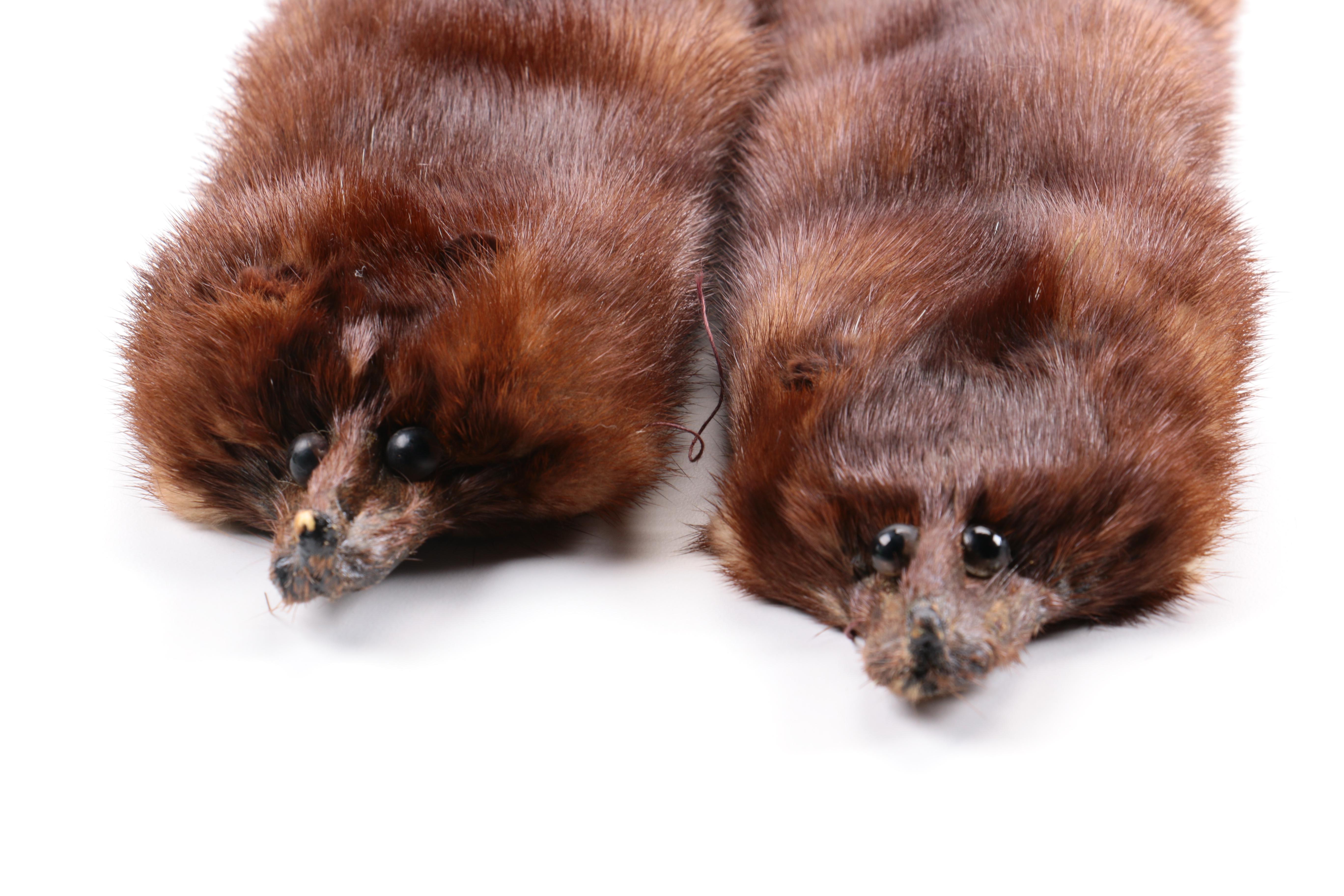 Natural Ranch Mink Four Pelt Stole