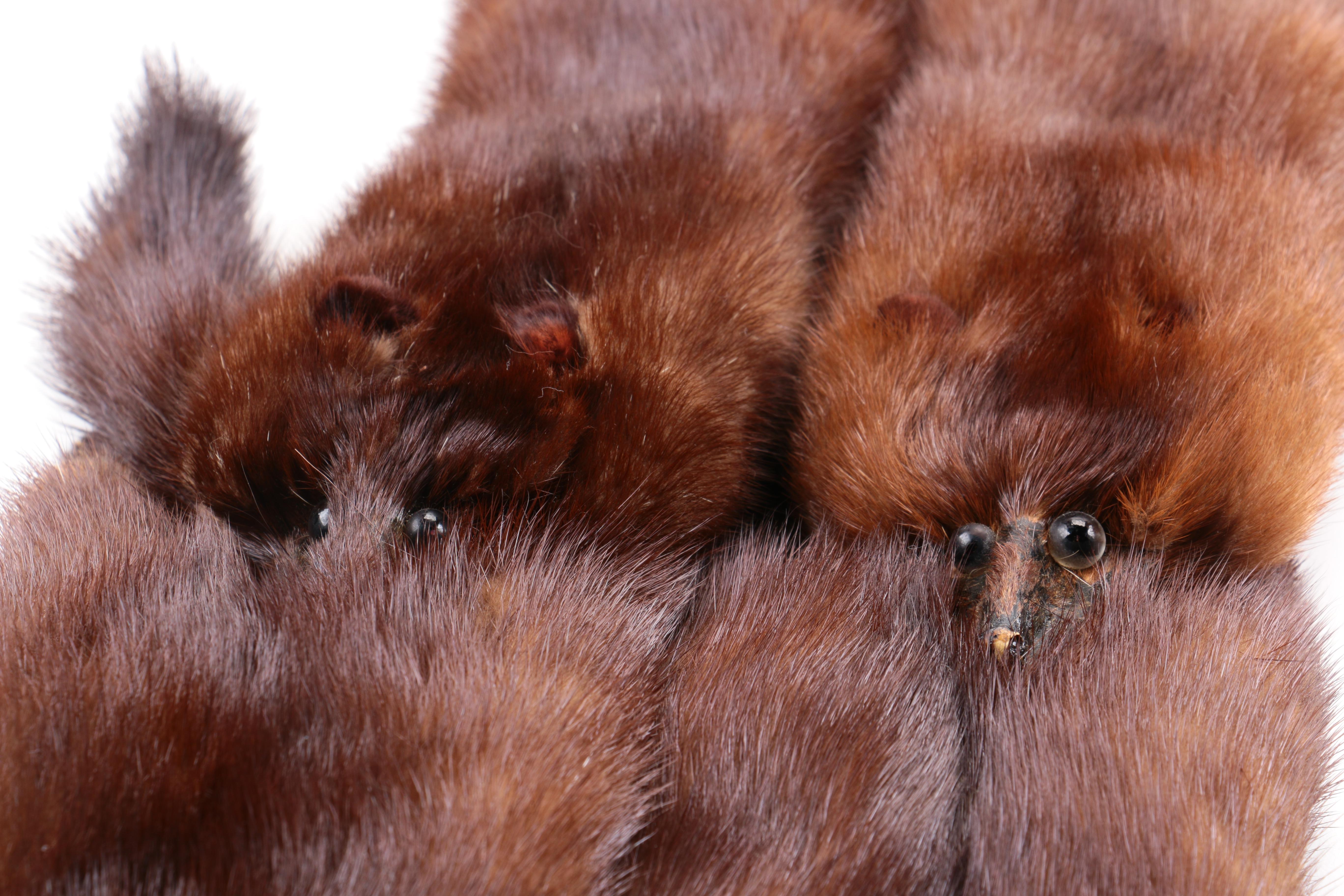 Natural Ranch Mink Four Pelt Stole