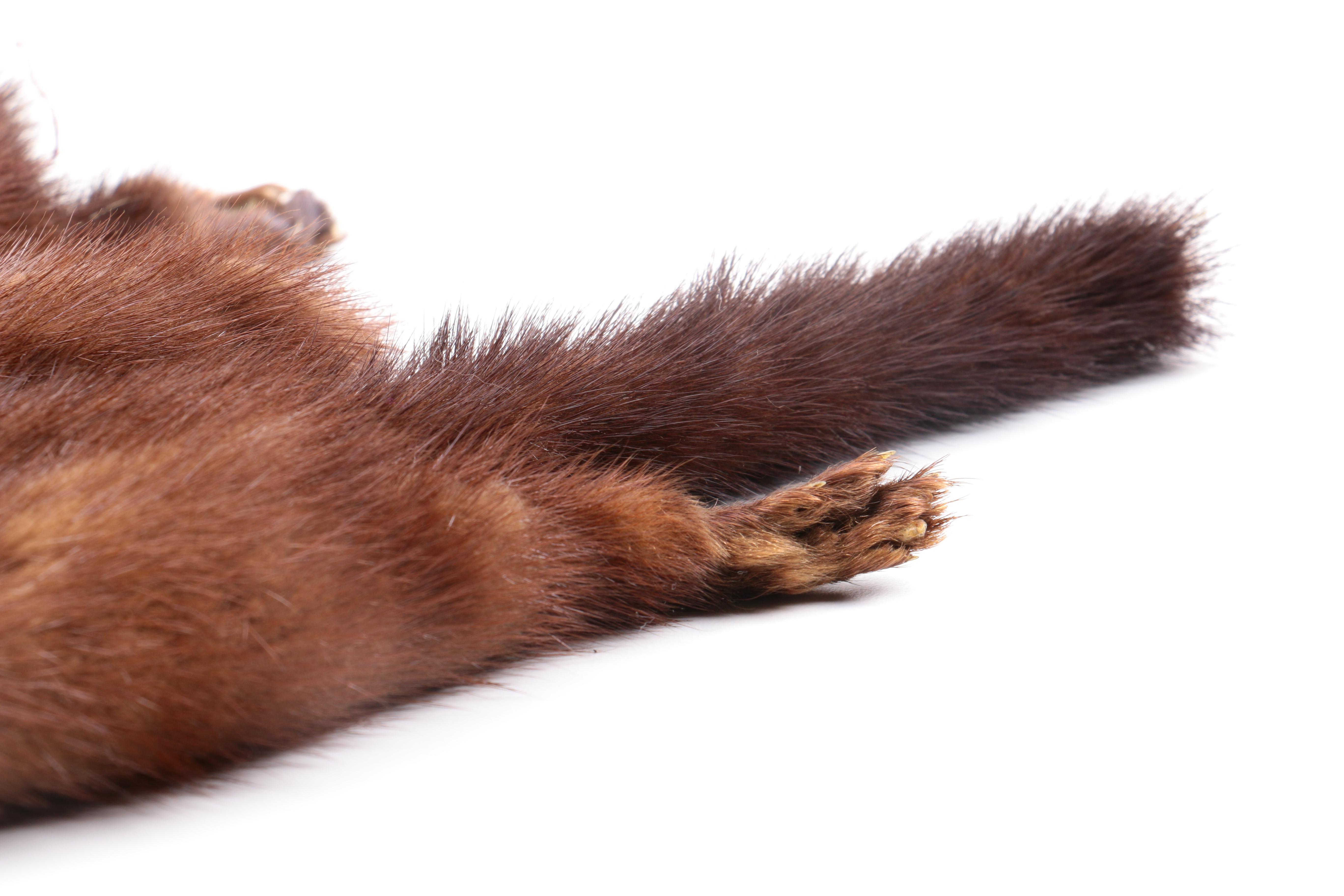 Natural Ranch Mink Four Pelt Stole