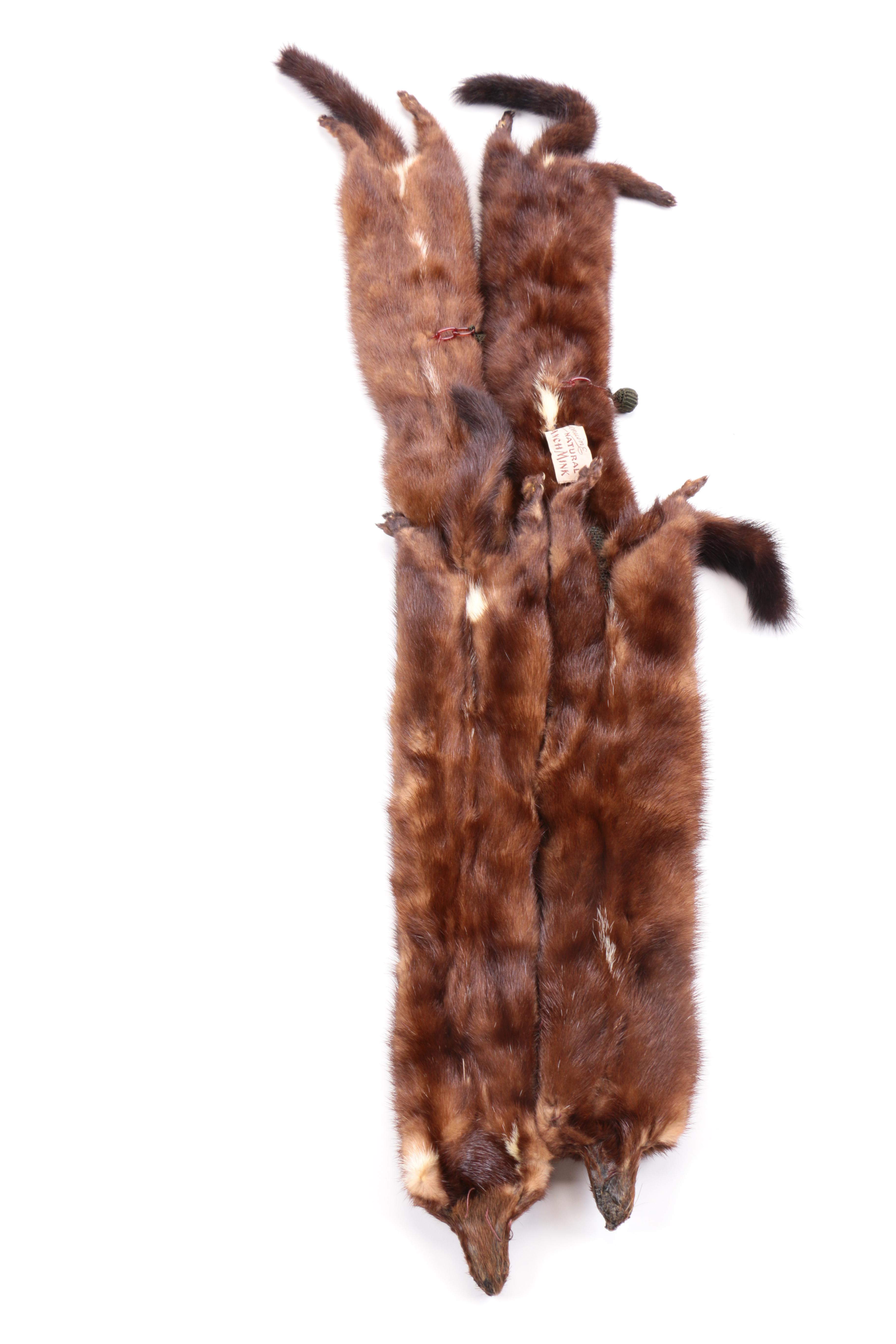 Natural Ranch Mink Four Pelt Stole
