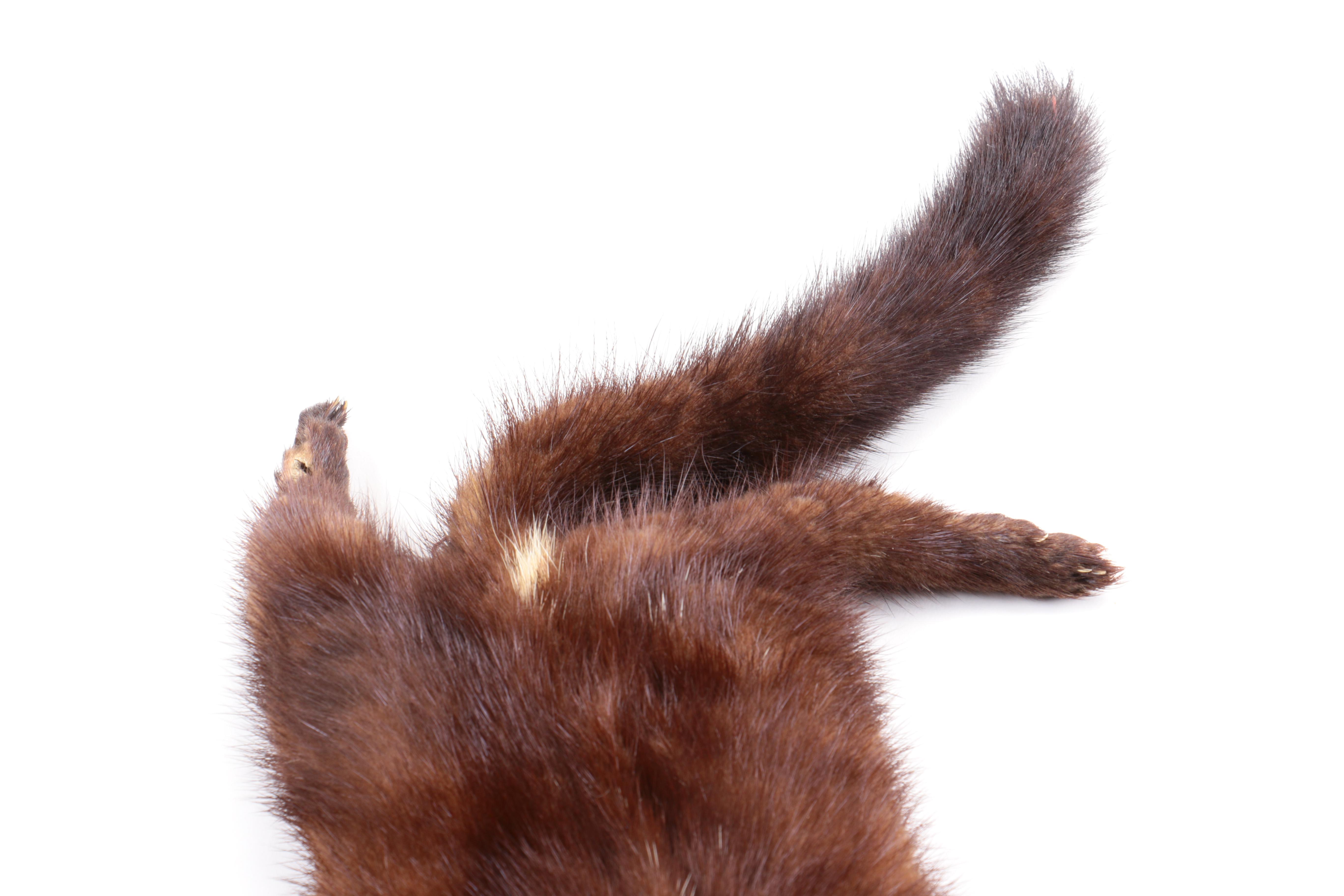 Natural Ranch Mink Four Pelt Stole