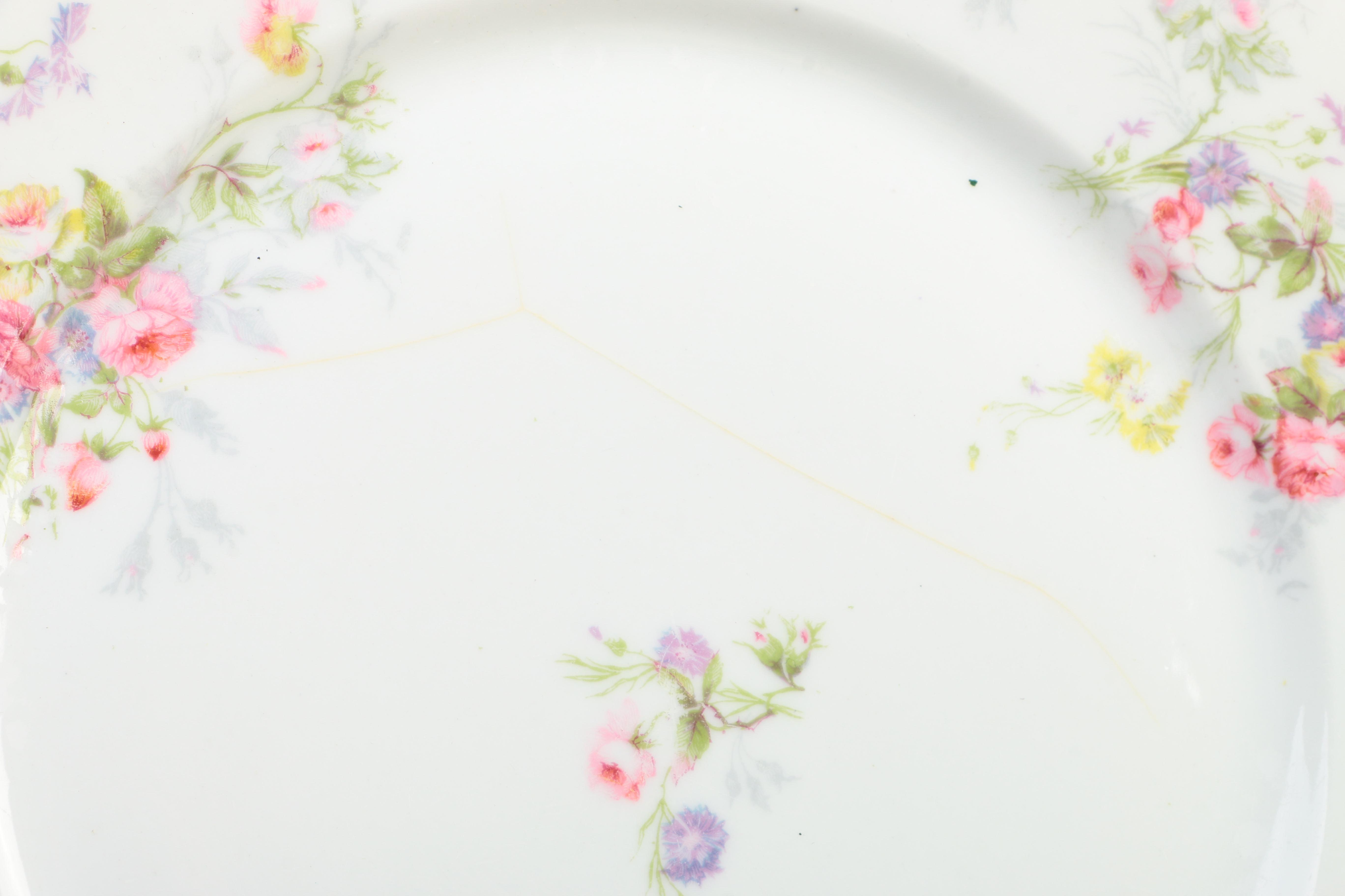 CH Field Haviland Limoges Tableware Set