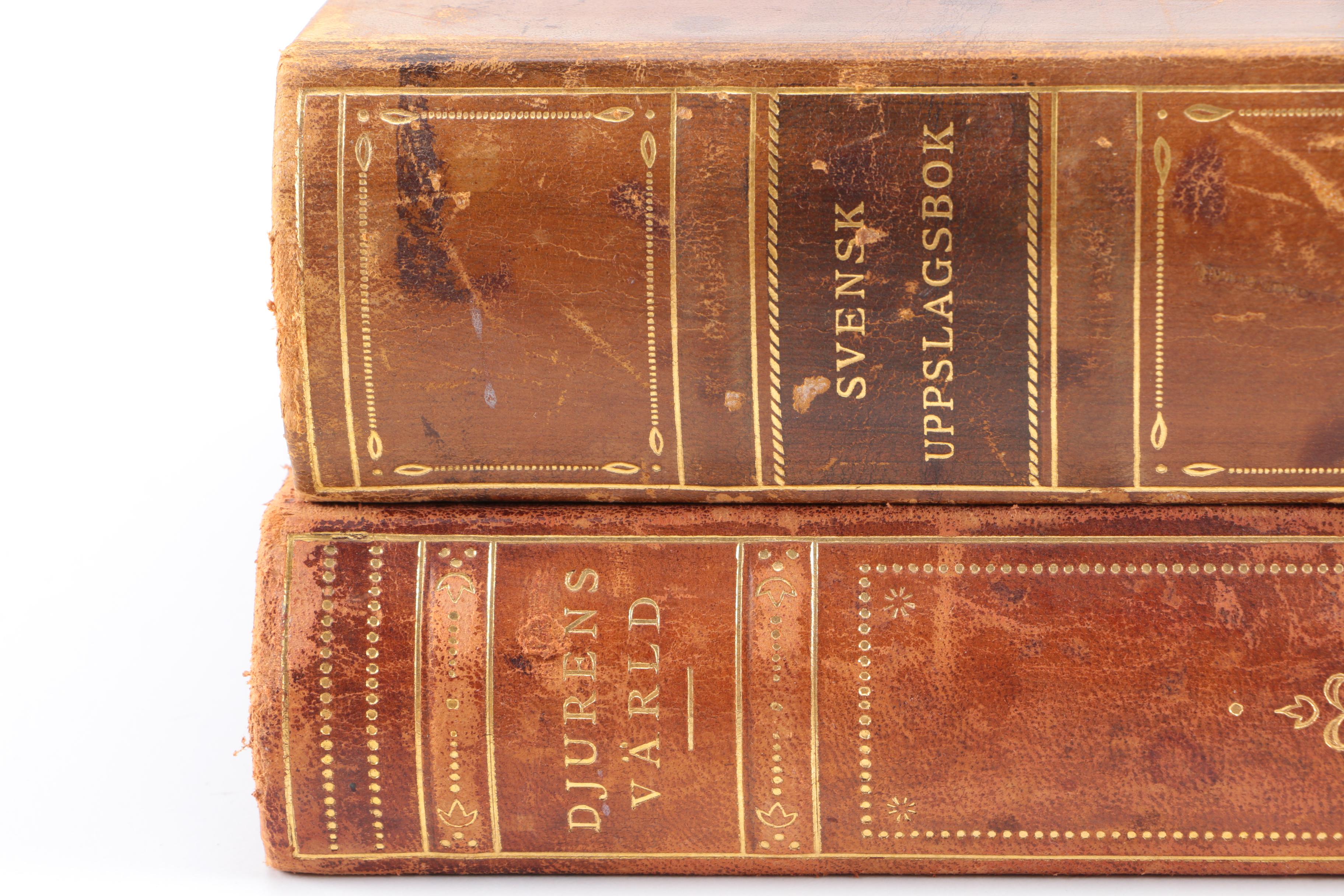 1930s Swedish Encyclopedia Volumes