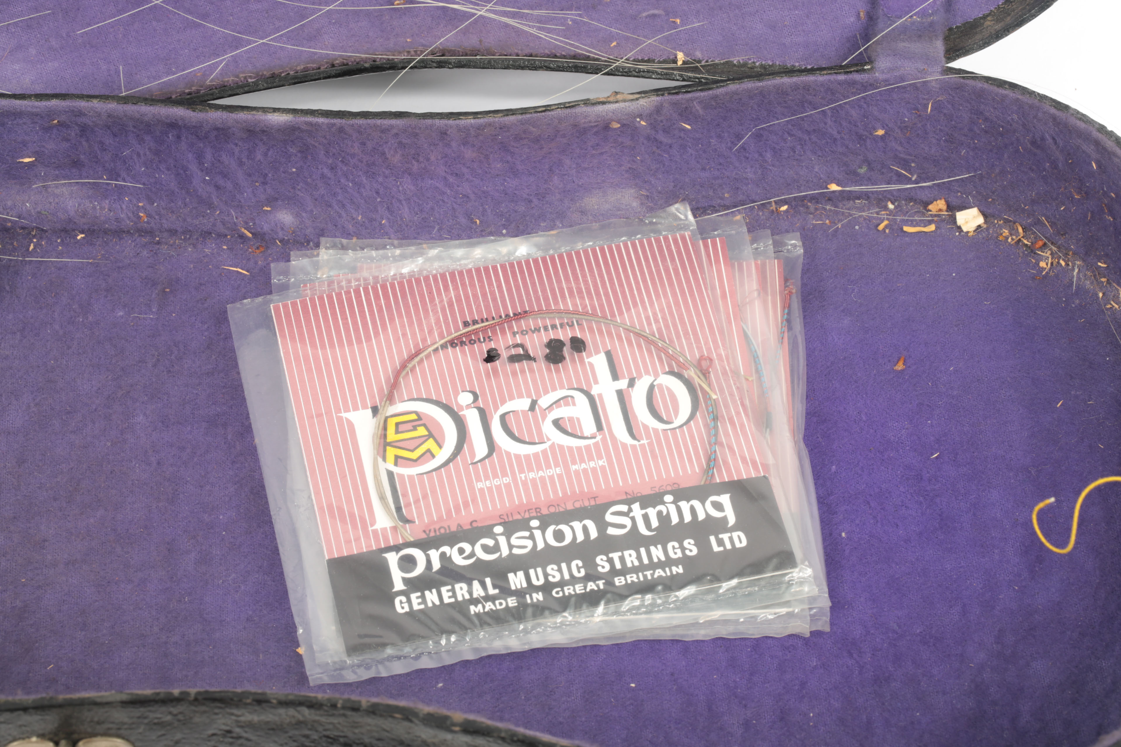 Vintage DRGM Violin, Case and Accessories