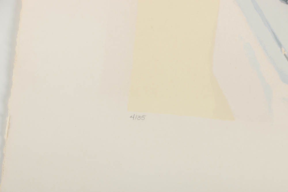 Nancy McIntyre Limited Edition Silkscreen "Barbershop Mirror"