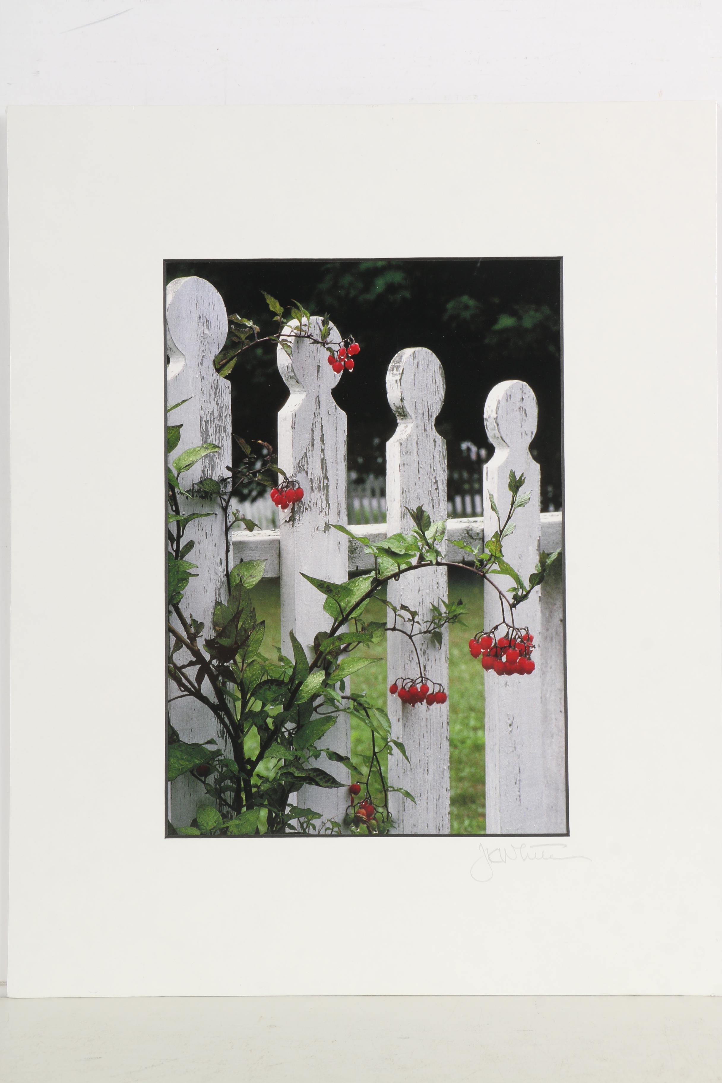 J. Kevin White Digital Photographic Prints on Paper of Bottles on a Shelf and a White Fence With a Berry Bush