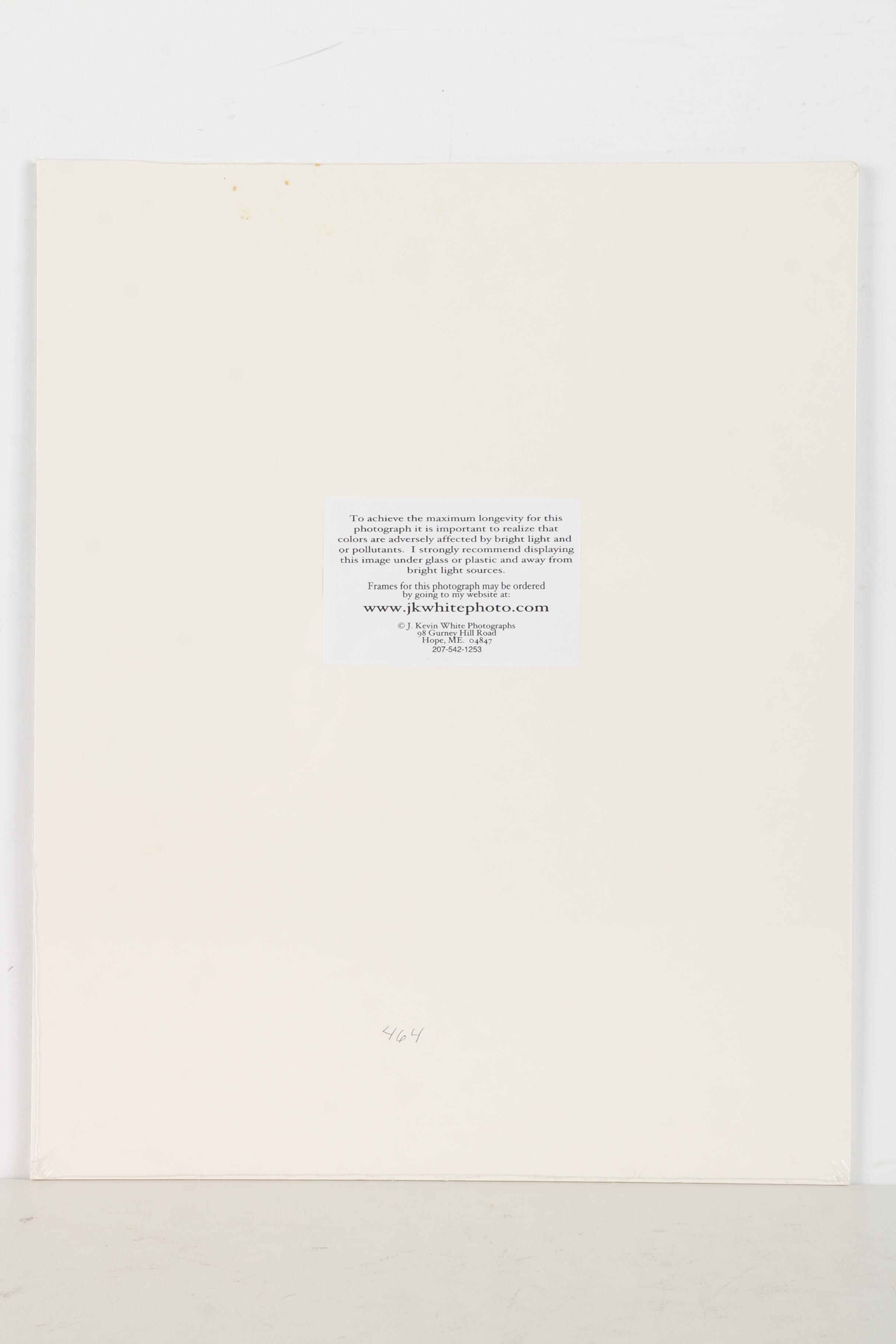 J. Kevin White Digital Photographic Prints on Paper of Bottles on a Shelf and a White Fence With a Berry Bush