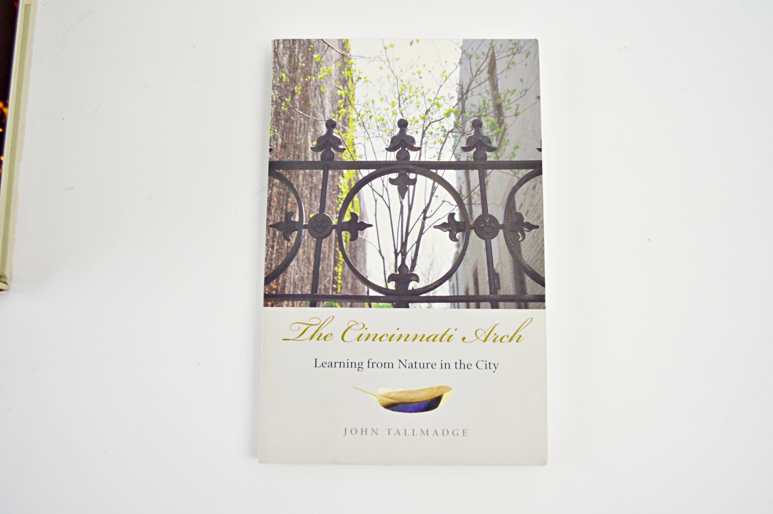 Coffee Table Books on Cincinnati