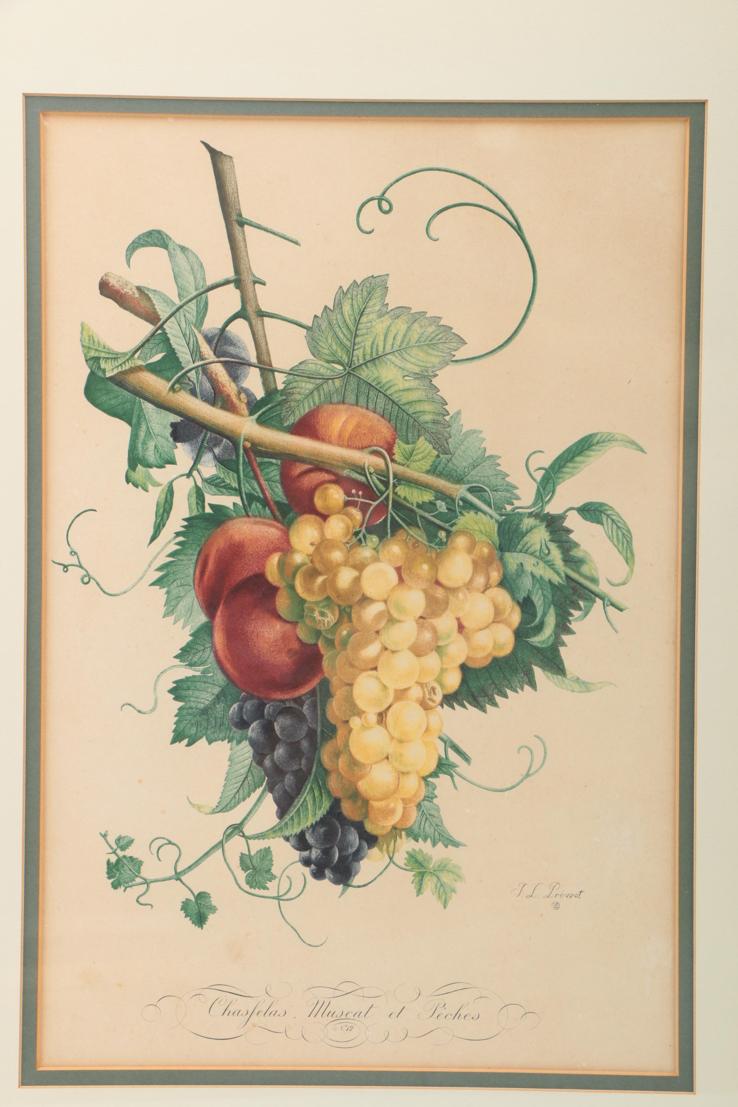 Giclee Print After Jean-Louis Prevost "Chasfelas Muscat et Peches"