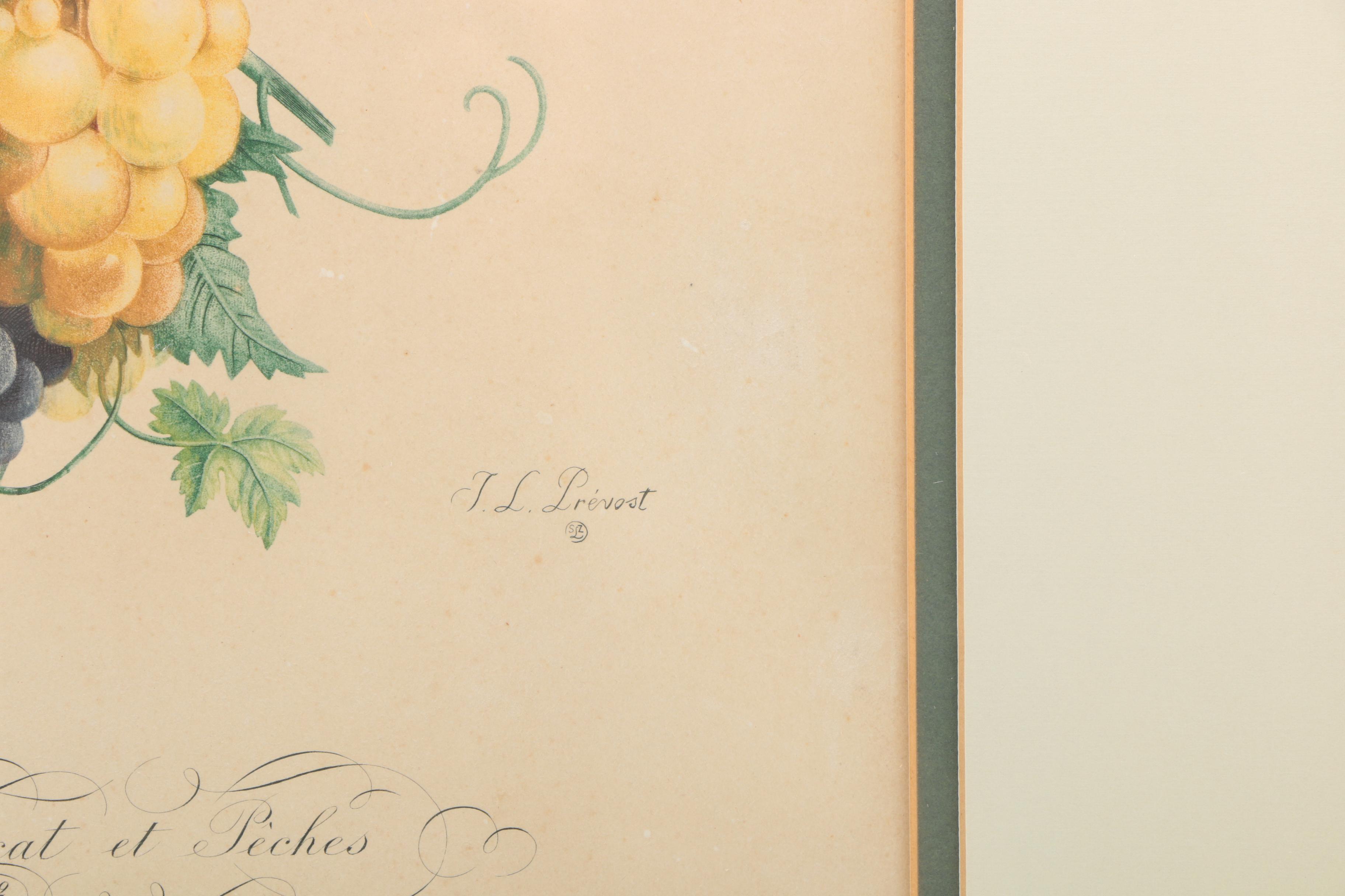 Giclee Print After Jean-Louis Prevost "Chasfelas Muscat et Peches"