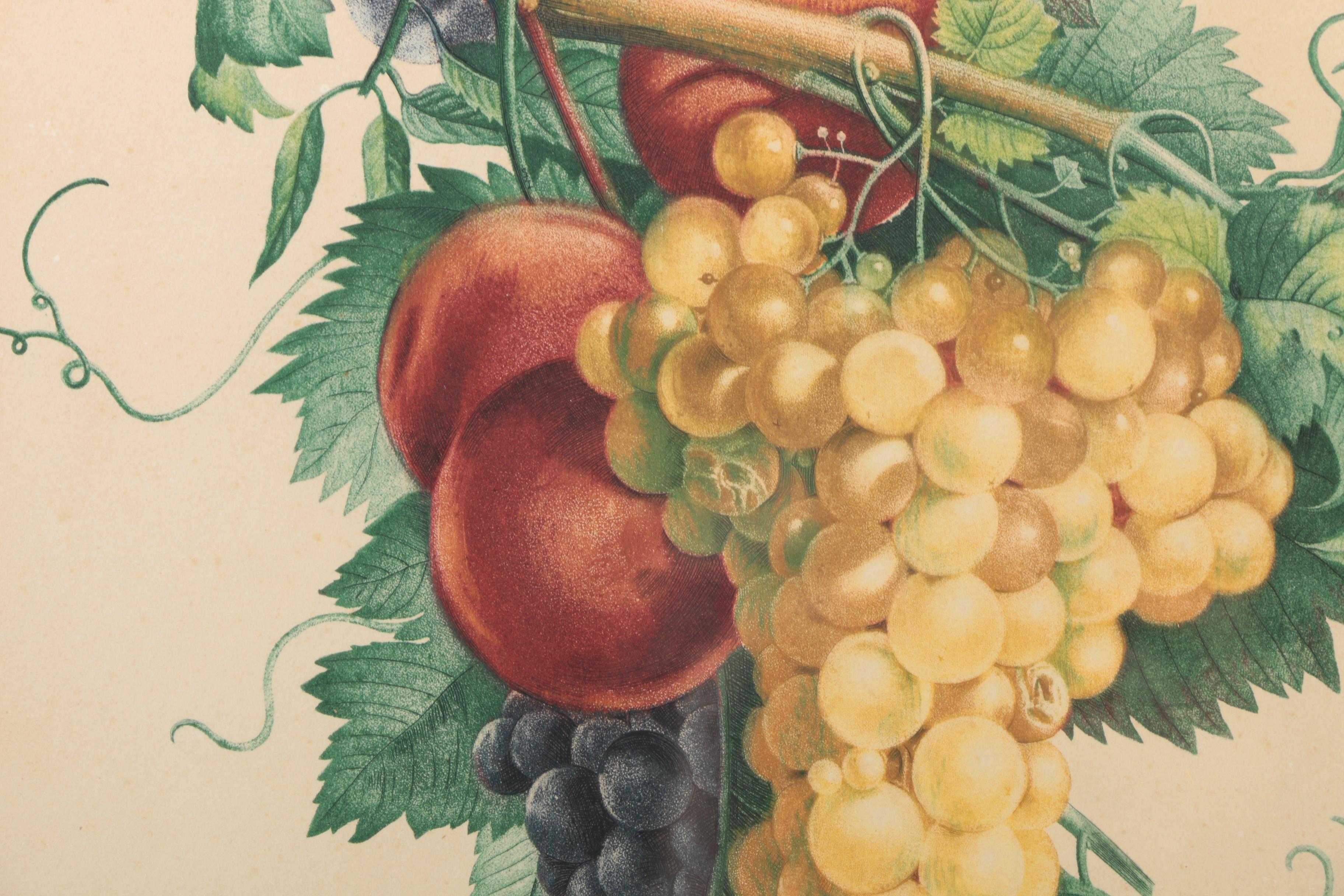 Giclee Print After Jean-Louis Prevost "Chasfelas Muscat et Peches"