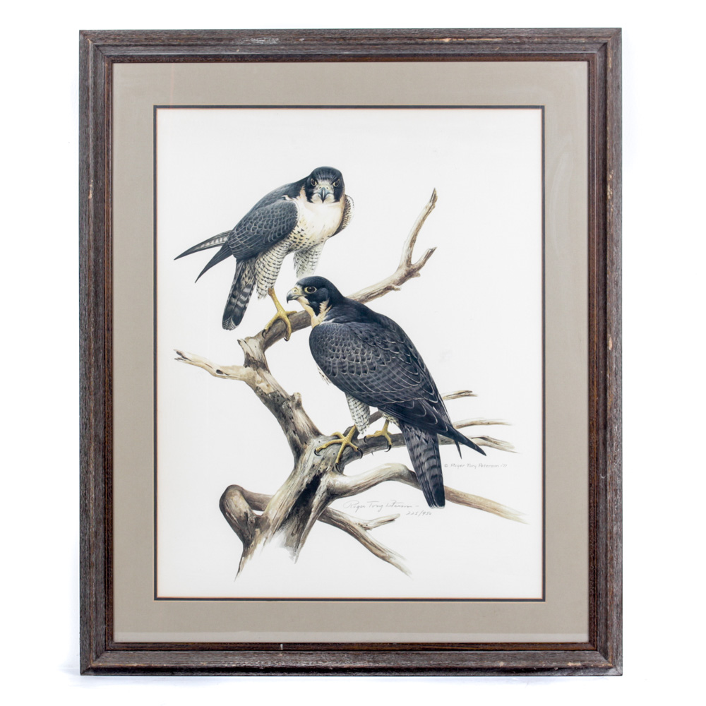 Roger Tory Peterson Limited Edition Print "Peregrine Falcon"