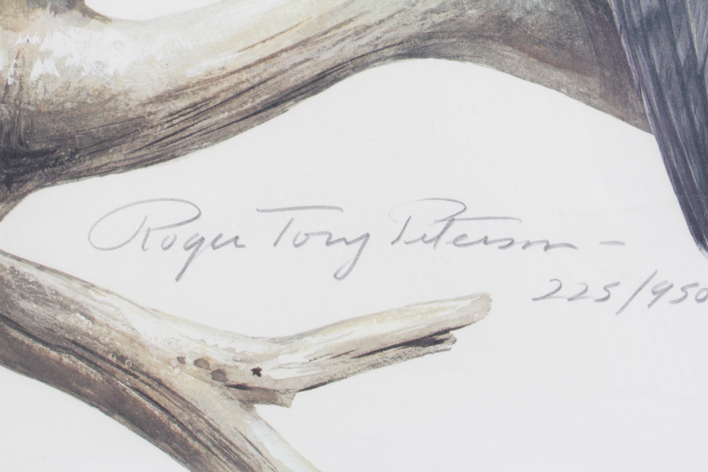 Roger Tory Peterson Limited Edition Print "Peregrine Falcon"