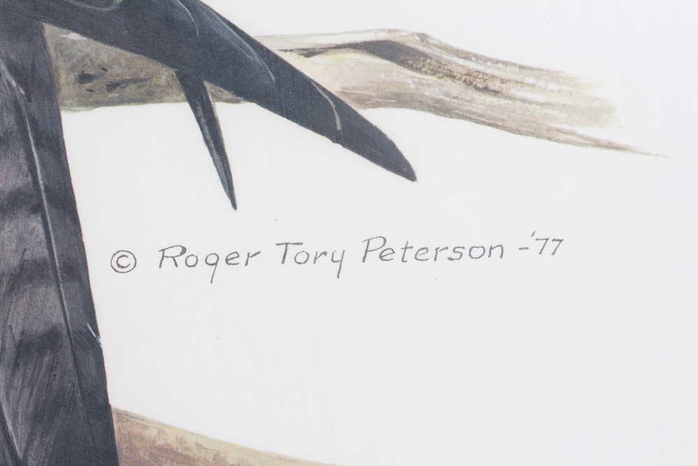 Roger Tory Peterson Limited Edition Print "Peregrine Falcon"
