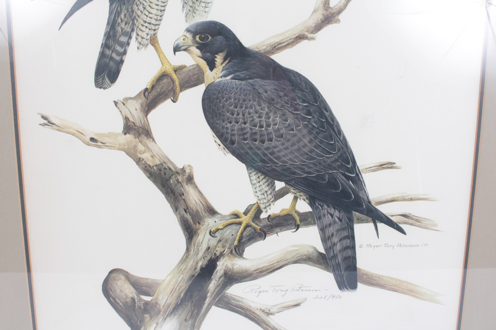 Roger Tory Peterson Limited Edition Print "Peregrine Falcon"
