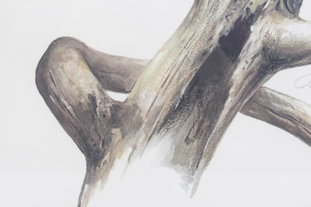 Roger Tory Peterson Limited Edition Print "Peregrine Falcon"