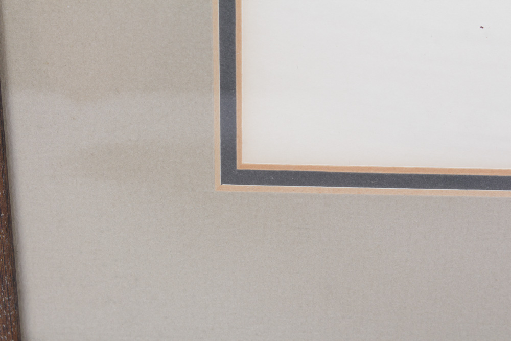 Roger Tory Peterson Limited Edition Print "Peregrine Falcon"