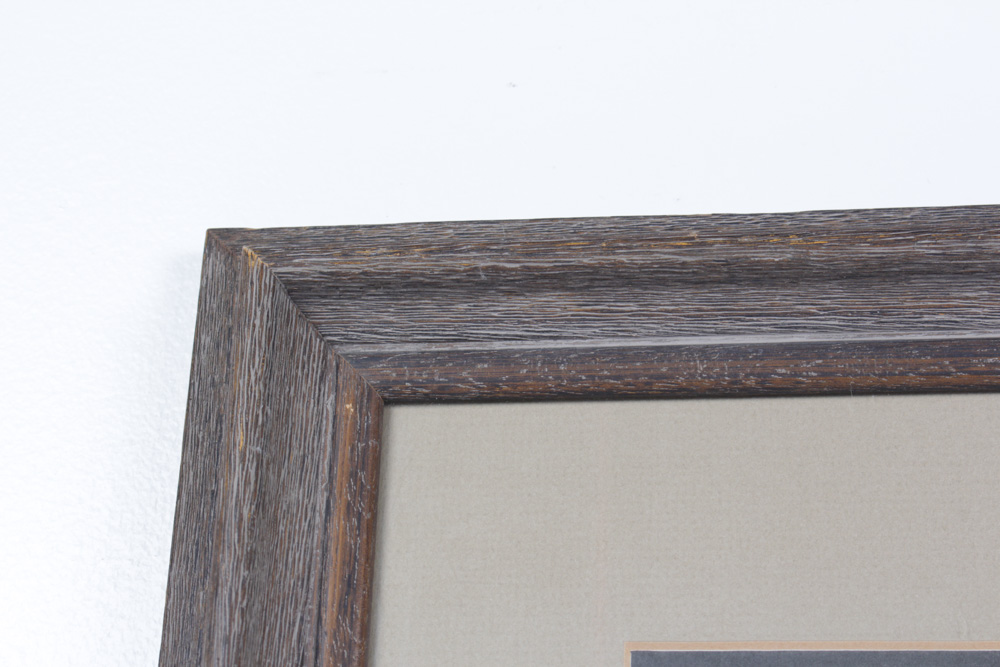 Roger Tory Peterson Limited Edition Print "Peregrine Falcon"