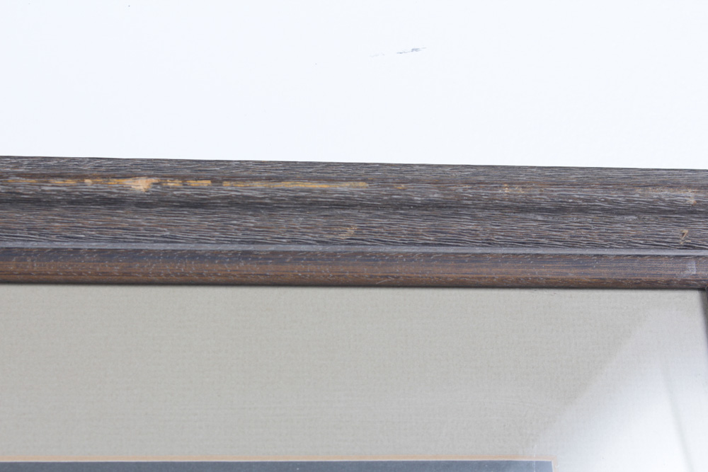 Roger Tory Peterson Limited Edition Print "Peregrine Falcon"