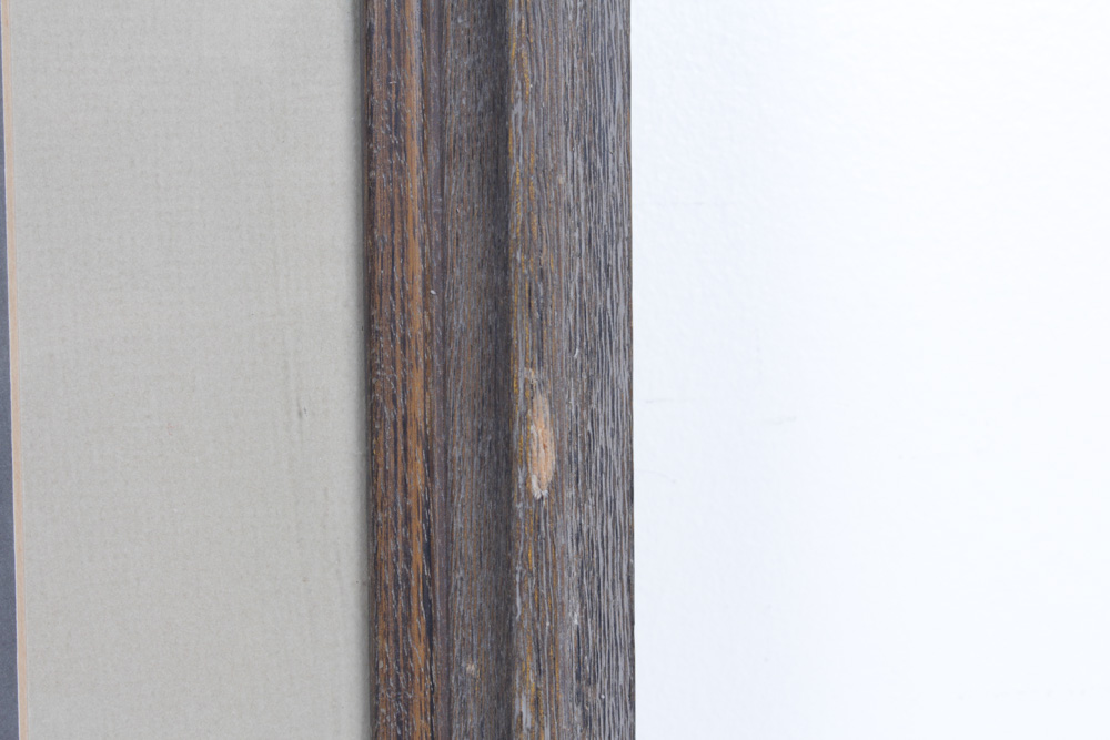 Roger Tory Peterson Limited Edition Print "Peregrine Falcon"