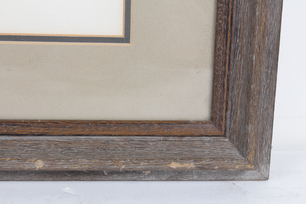 Roger Tory Peterson Limited Edition Print "Peregrine Falcon"