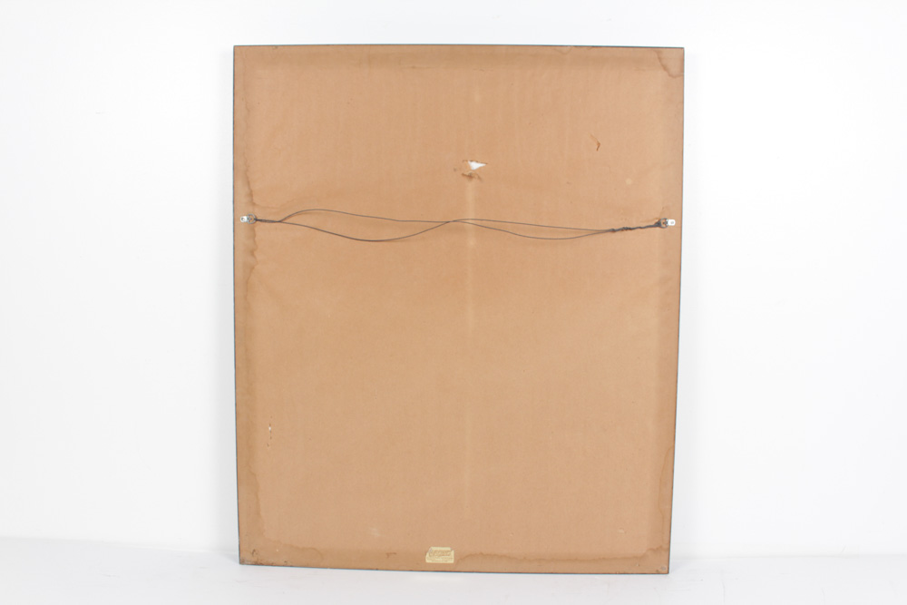 Roger Tory Peterson Limited Edition Print "Peregrine Falcon"