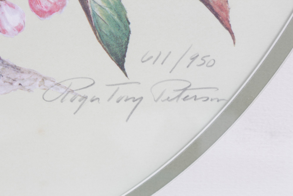 Roger Tory Peterson Limited Edition Print