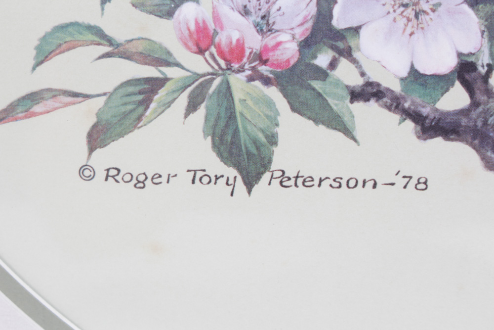 Roger Tory Peterson Limited Edition Print