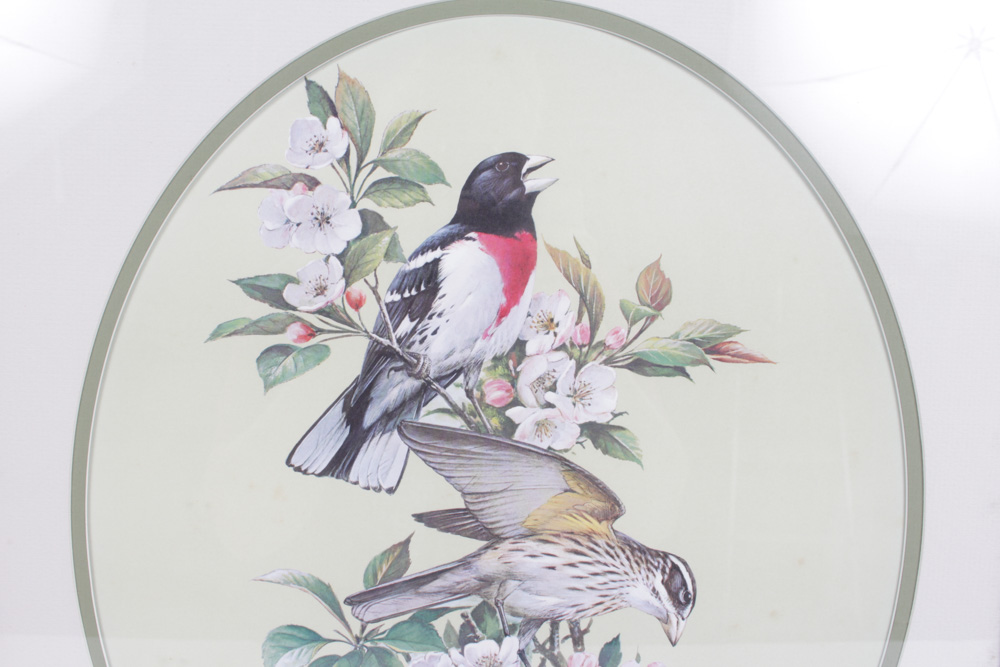 Roger Tory Peterson Limited Edition Print