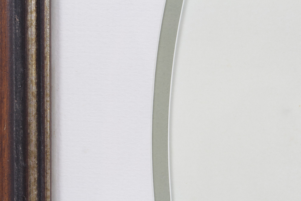 Roger Tory Peterson Limited Edition Print