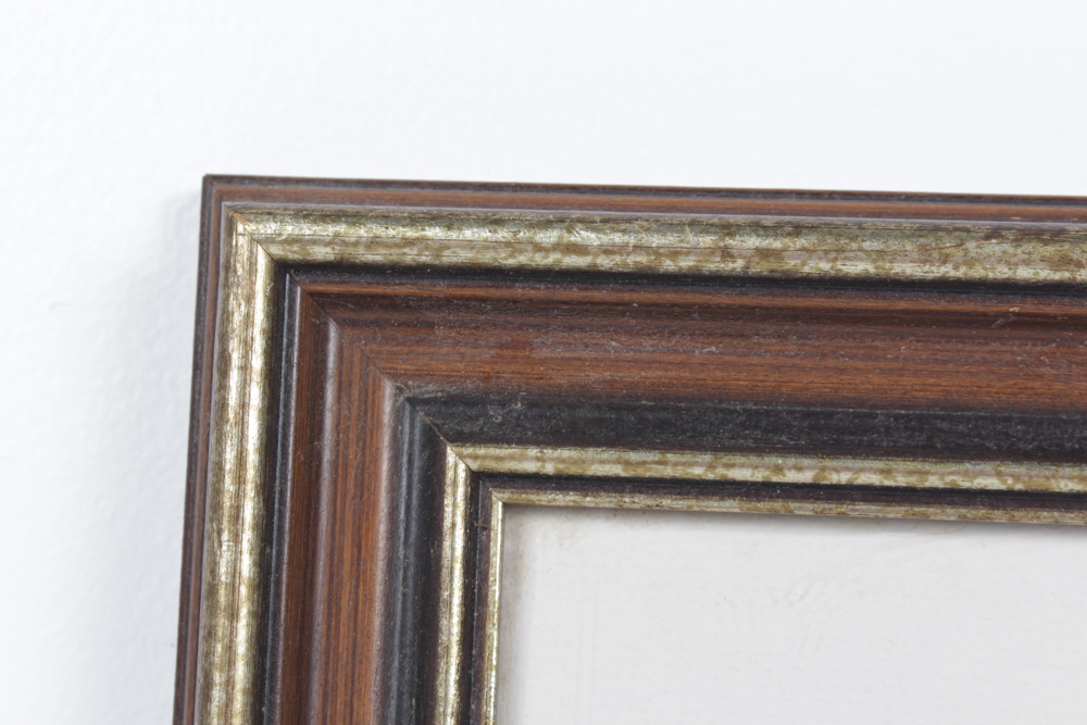 Roger Tory Peterson Limited Edition Print