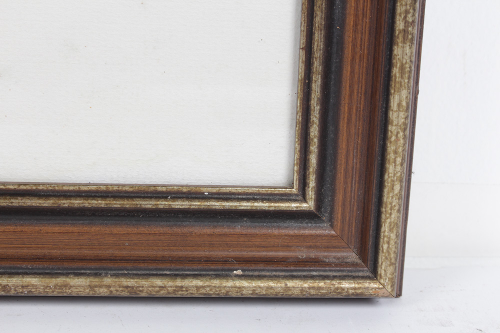 Roger Tory Peterson Limited Edition Print