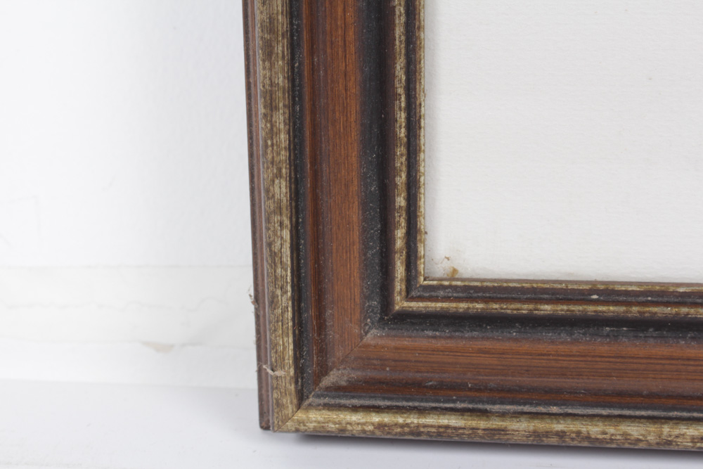 Roger Tory Peterson Limited Edition Print