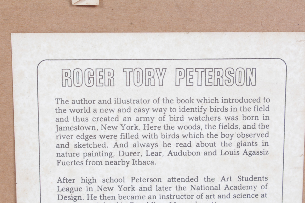 Roger Tory Peterson Limited Edition Print