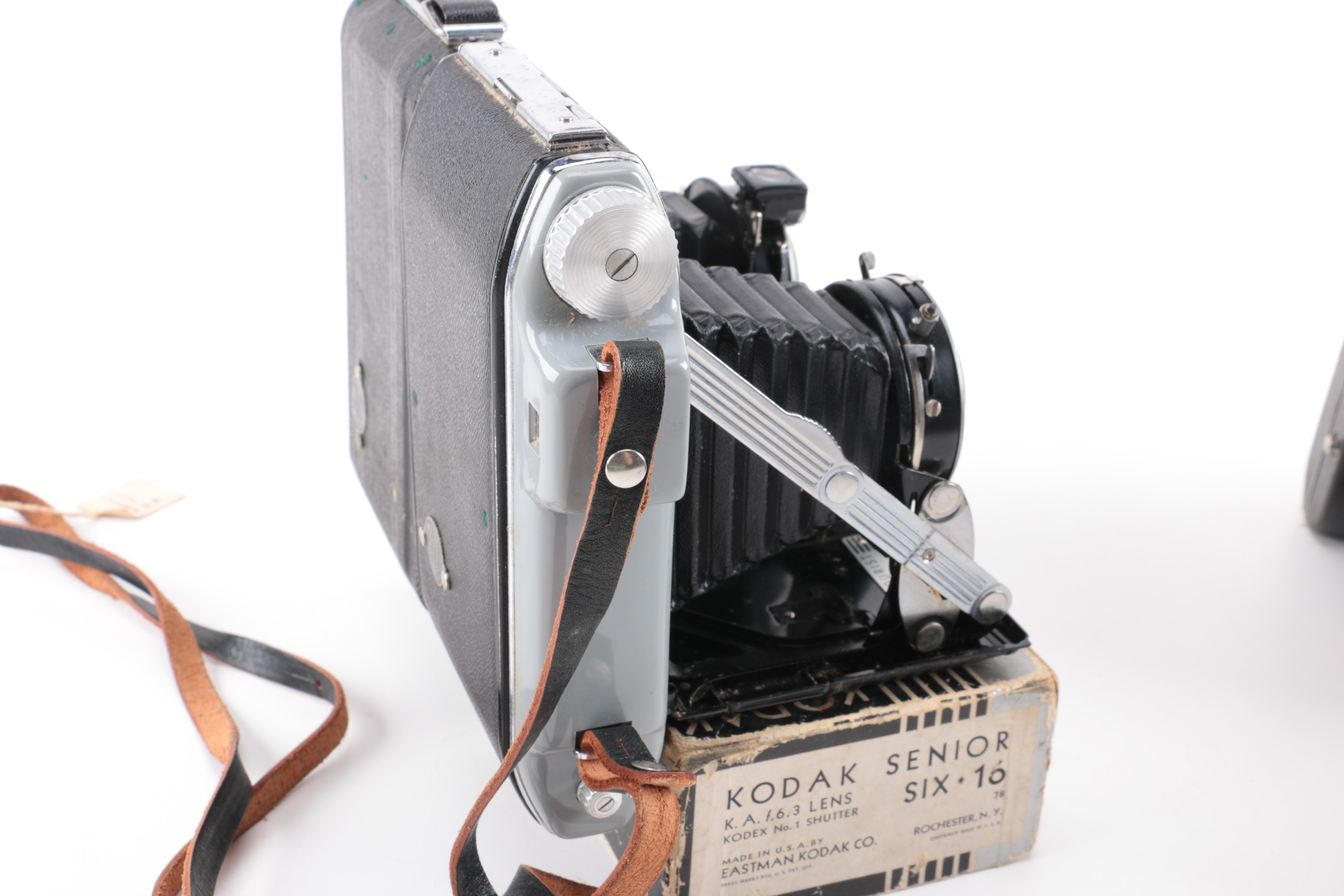 Vintage Bellows SLR Cameras