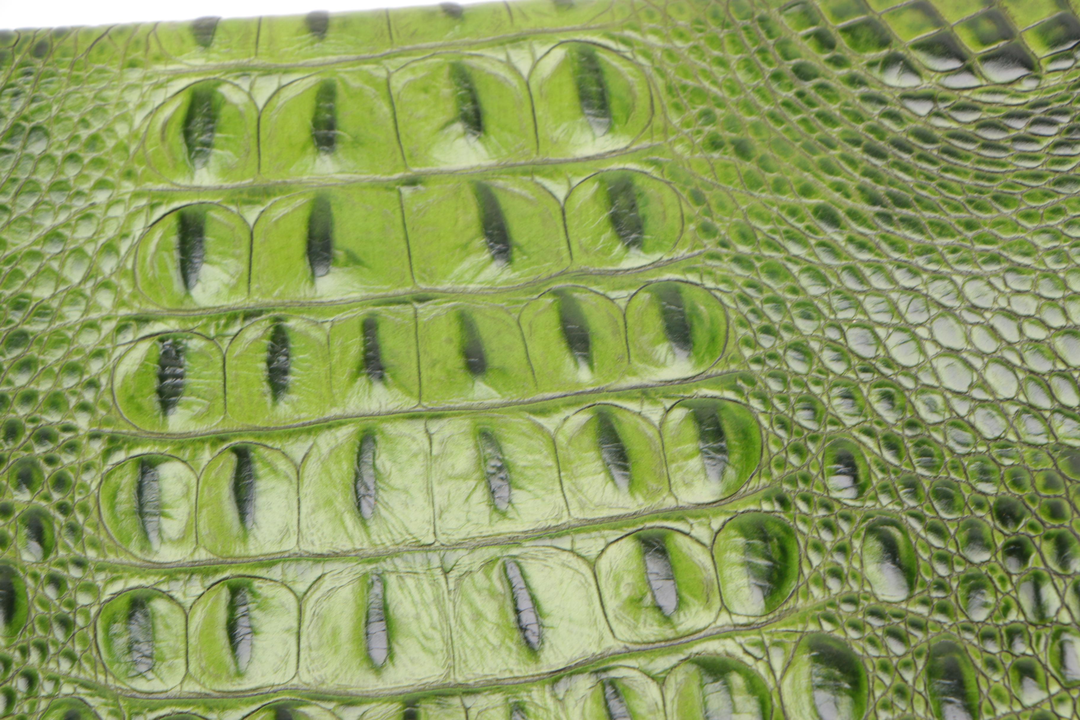 Alligator and Embossed Leather Bags