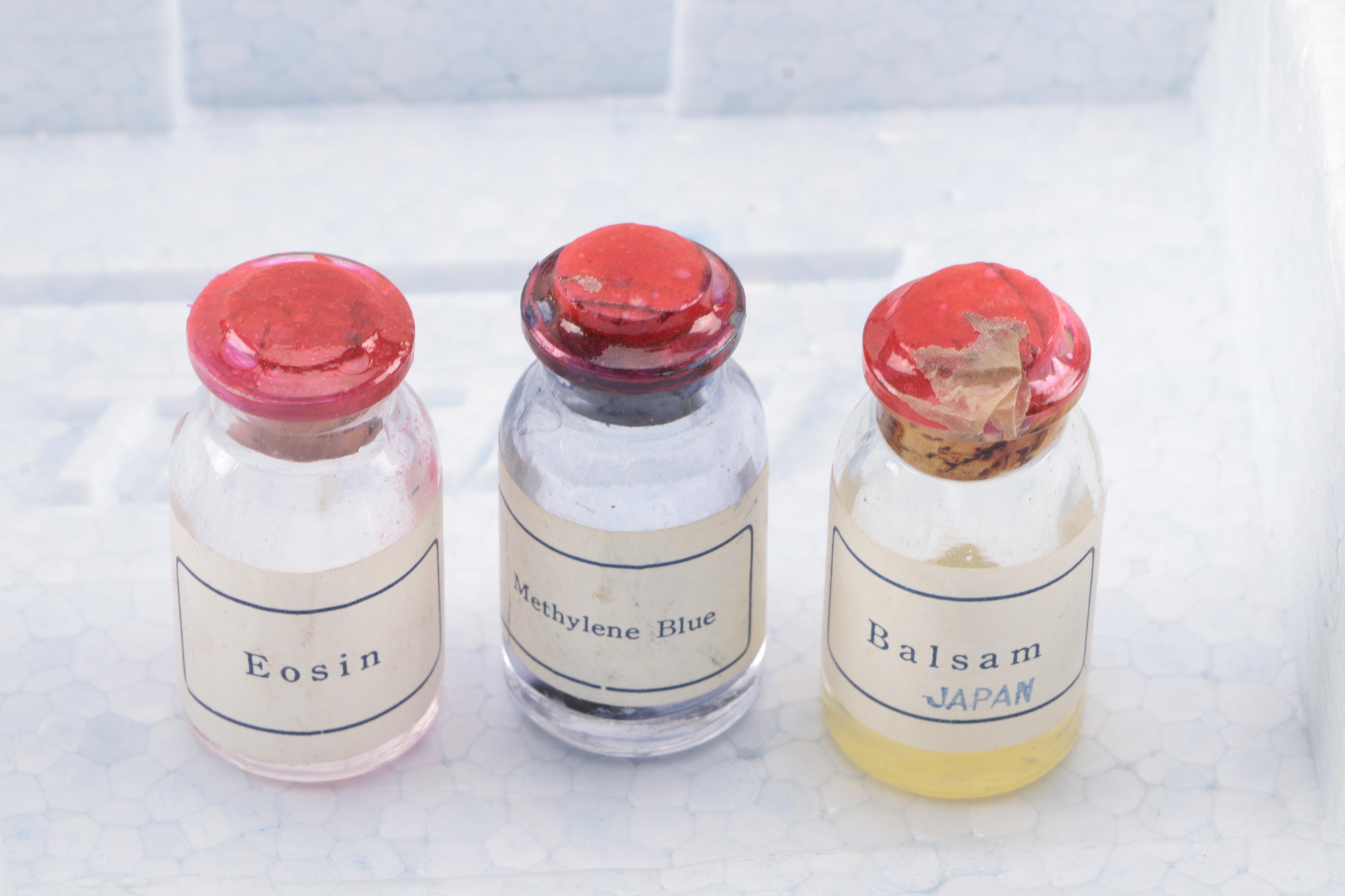 Tasco Deluxe Microscope Kit