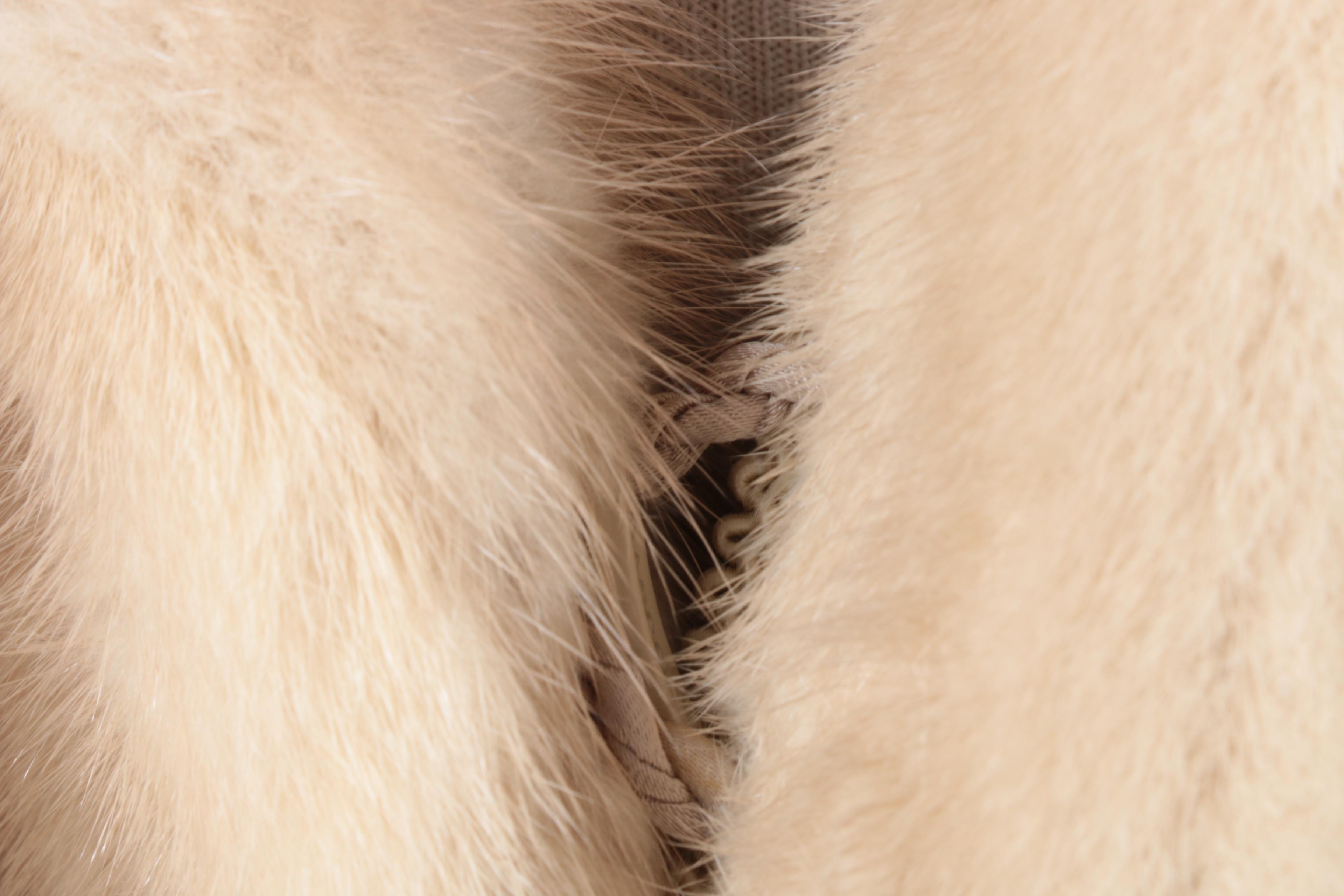J. Galistino & Co. Full Length Blonde Mink Coat