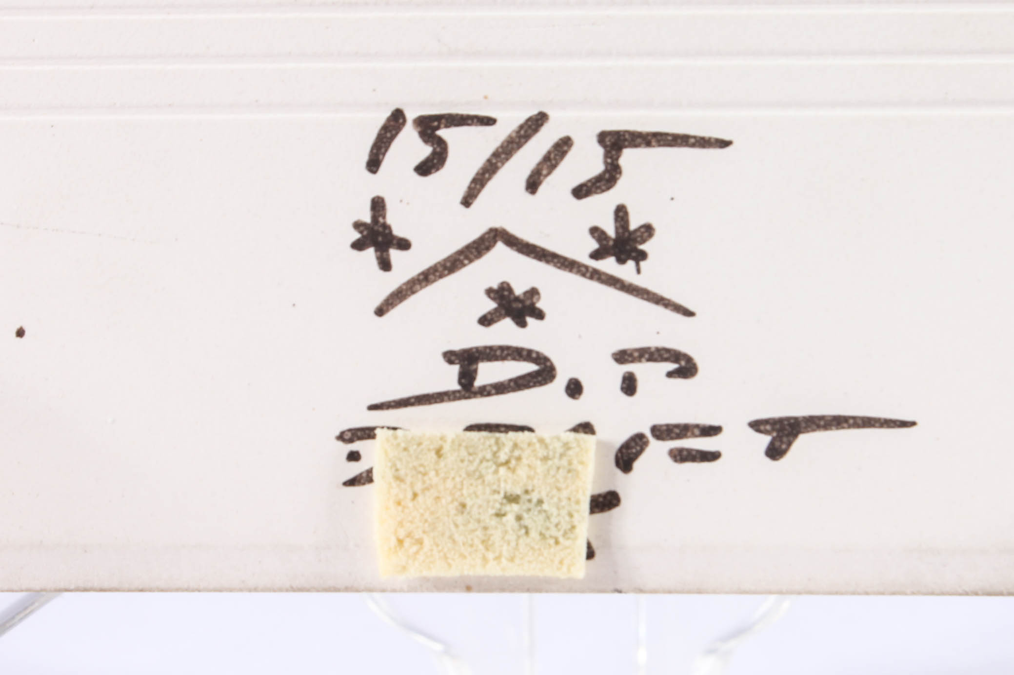 Hand-Painted Delft Tiles