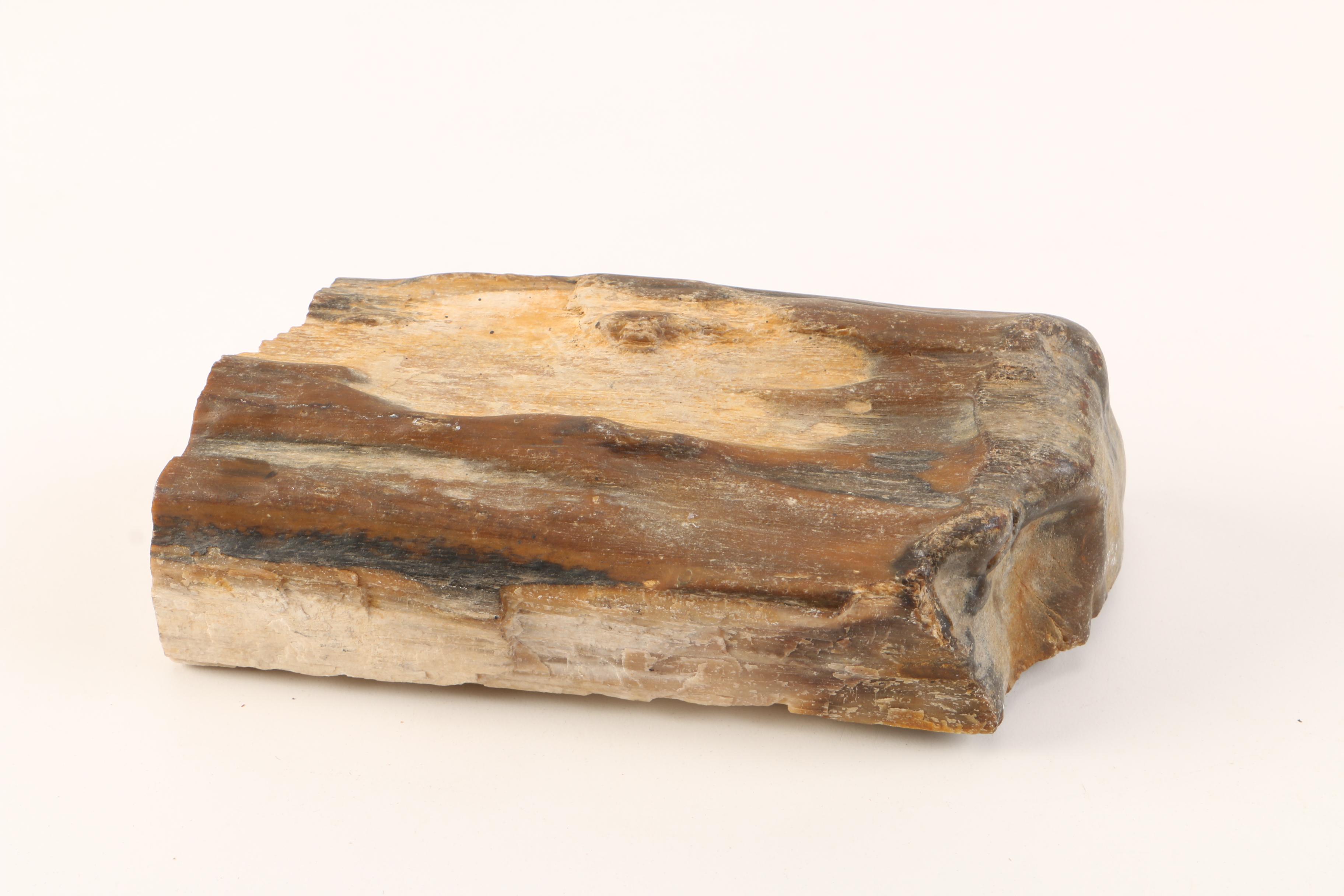 Petrified Wood Specimens and Carved Jasper Figurine