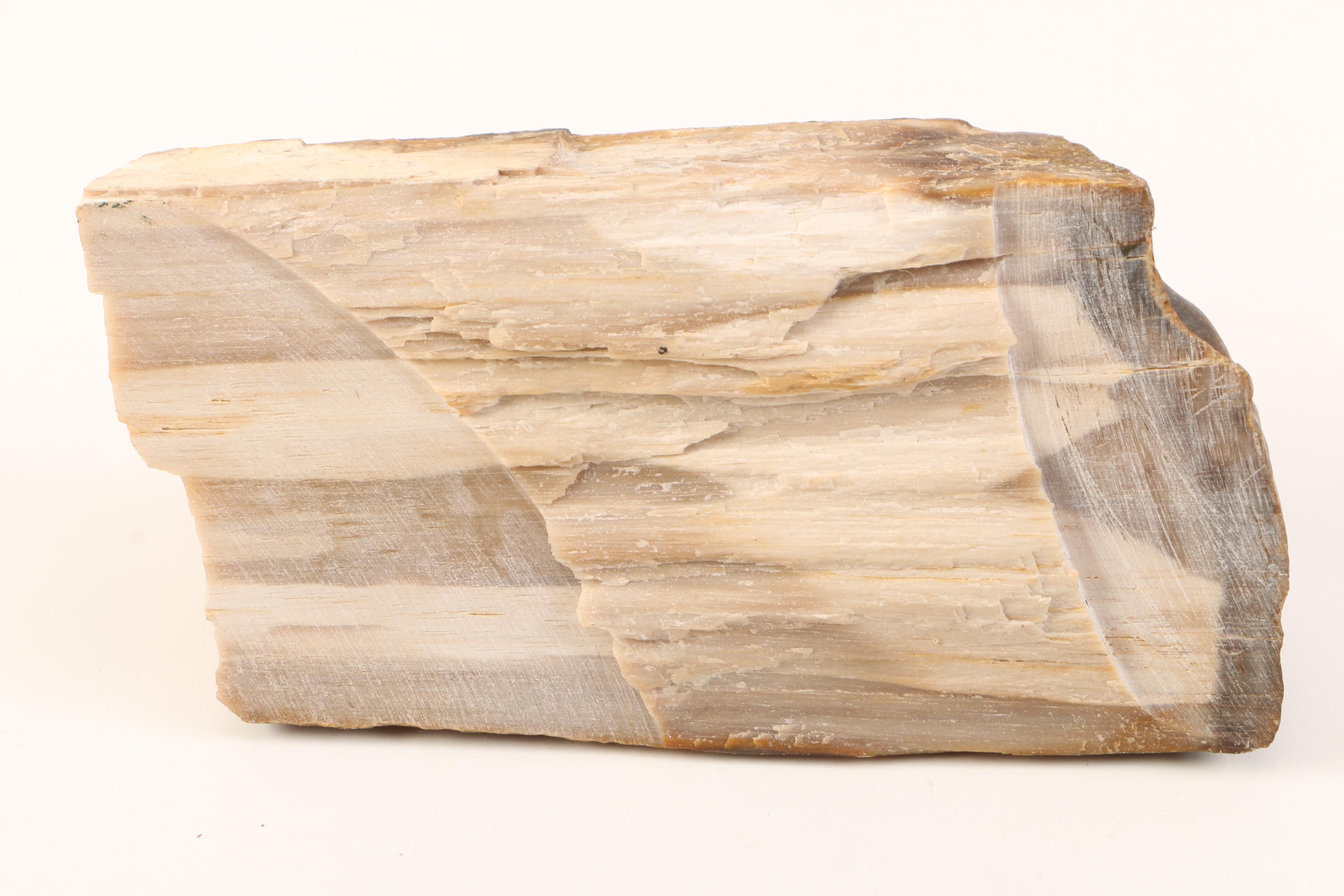 Petrified Wood Specimens and Carved Jasper Figurine