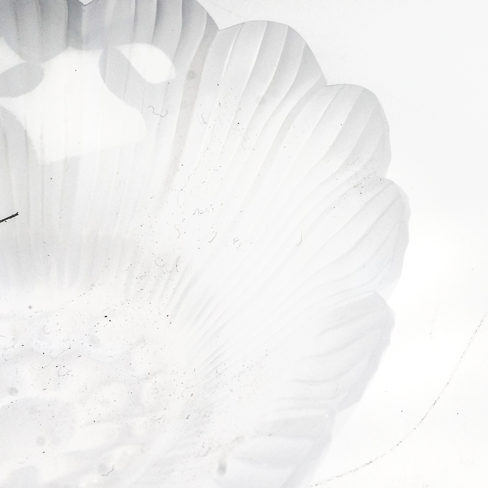 Lalique "Pâquerettes" Crystal Dish