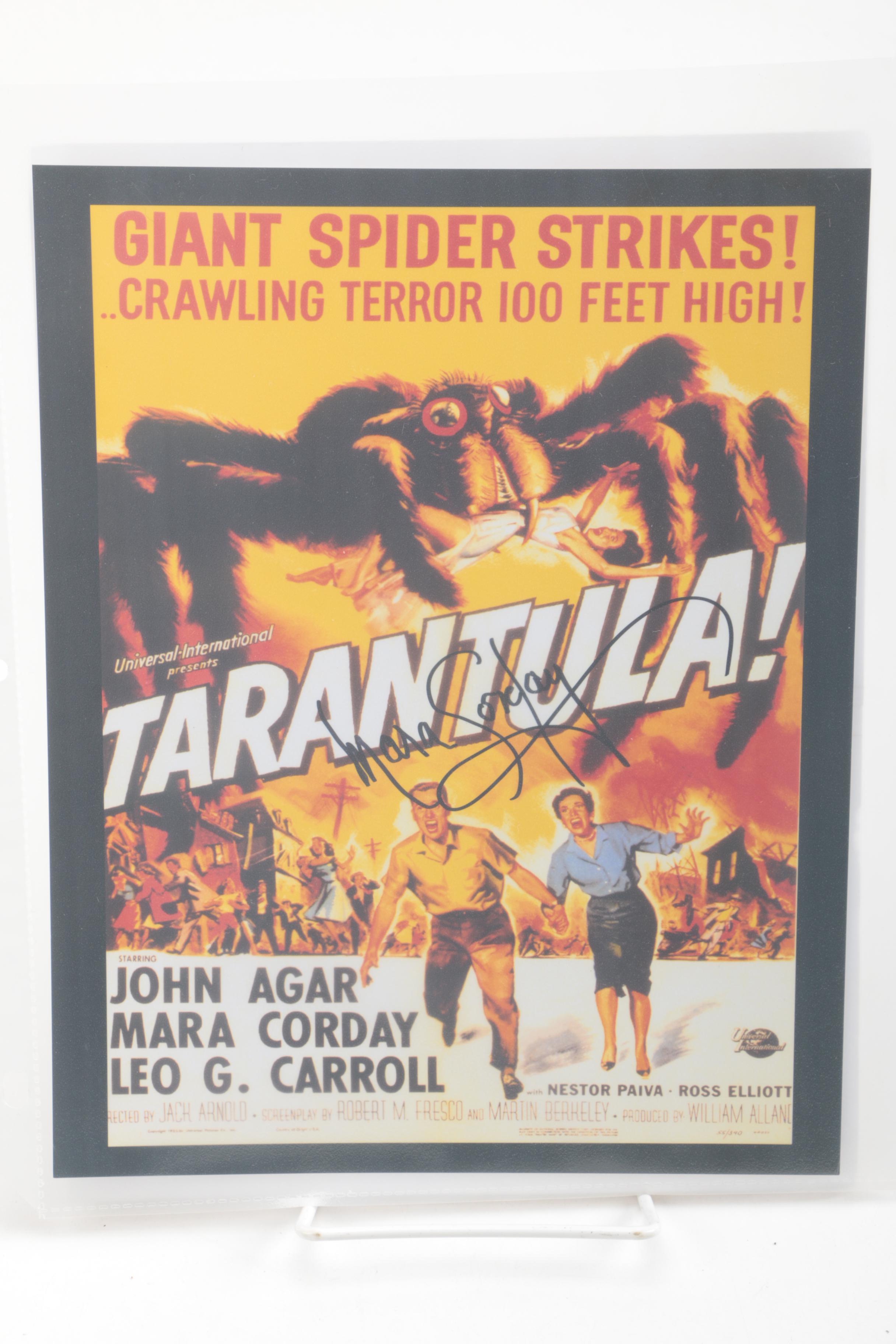 Assortment of Celebrity Signed Photos