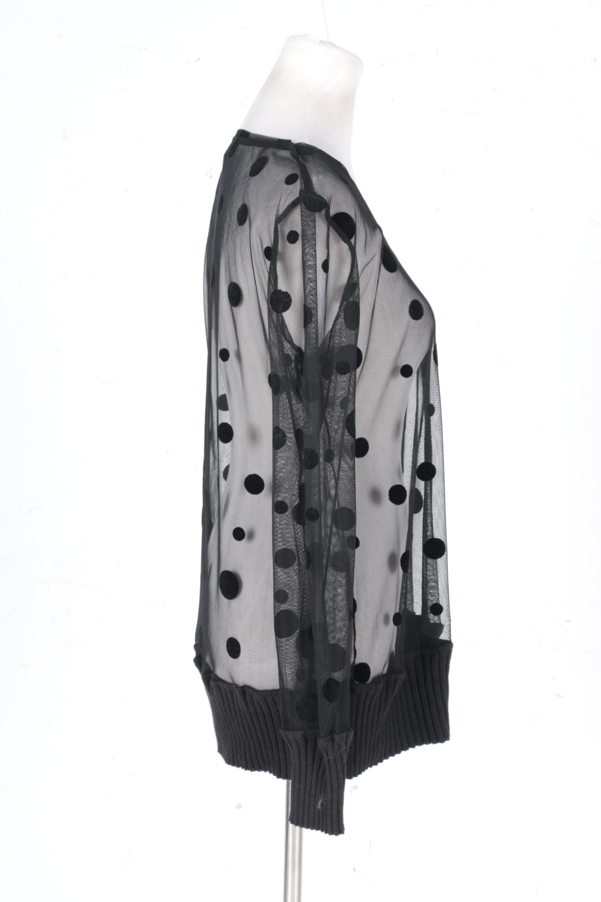 Sheer Long Sleeve Polka Dot Top