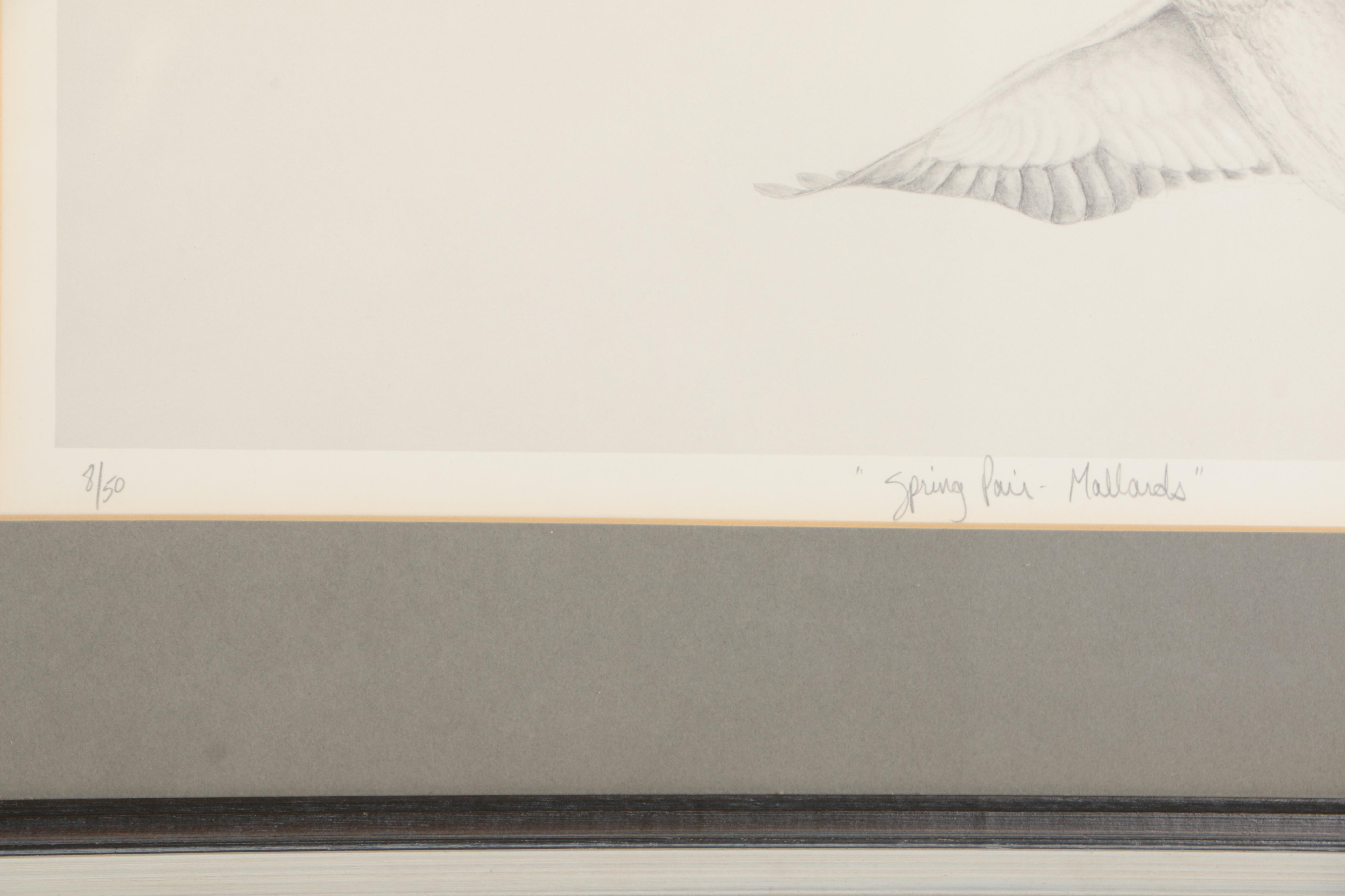 Andrew Peters Limited Edition Offset Lithograph "Spring Pair- Mallards"