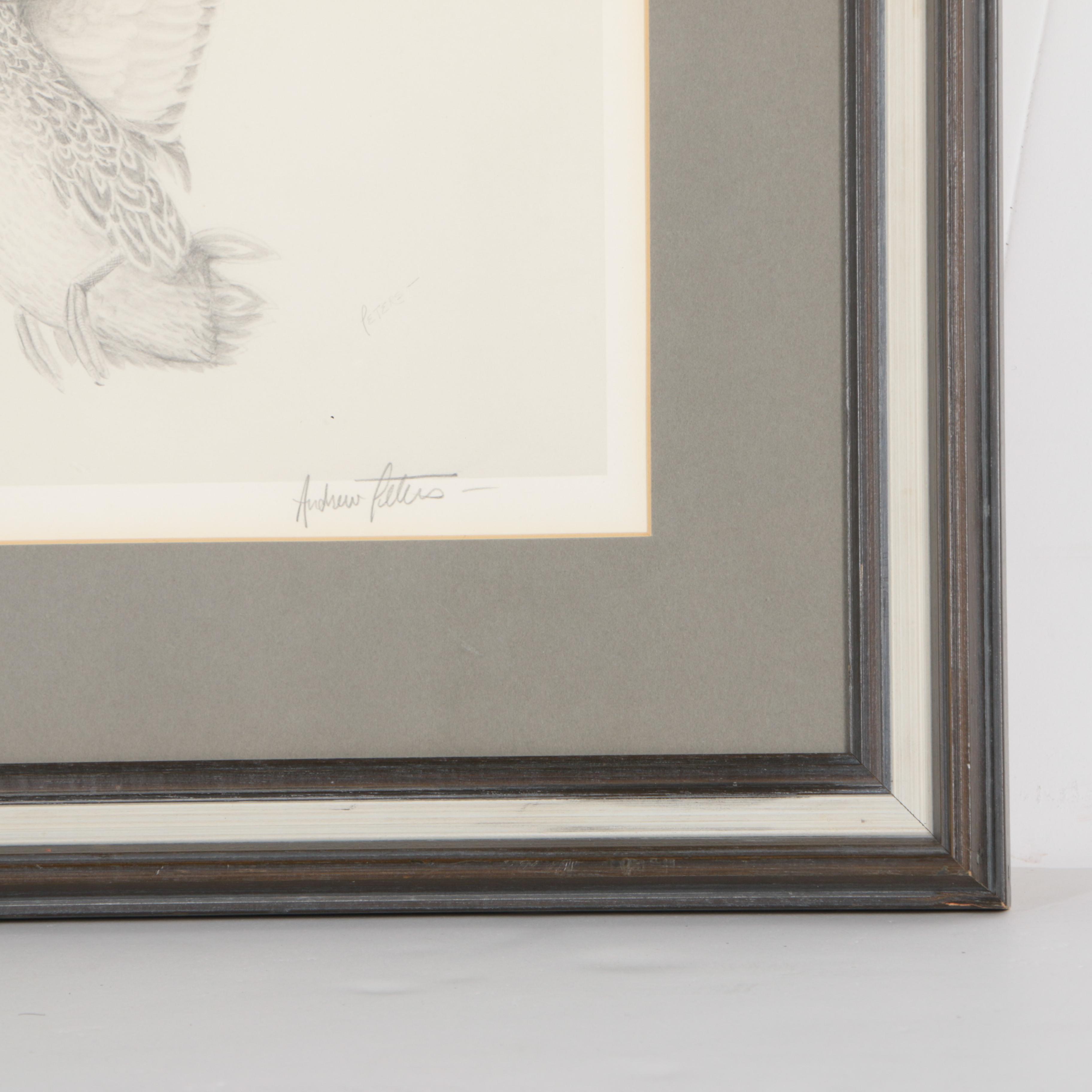 Andrew Peters Limited Edition Offset Lithograph "Spring Pair- Mallards"