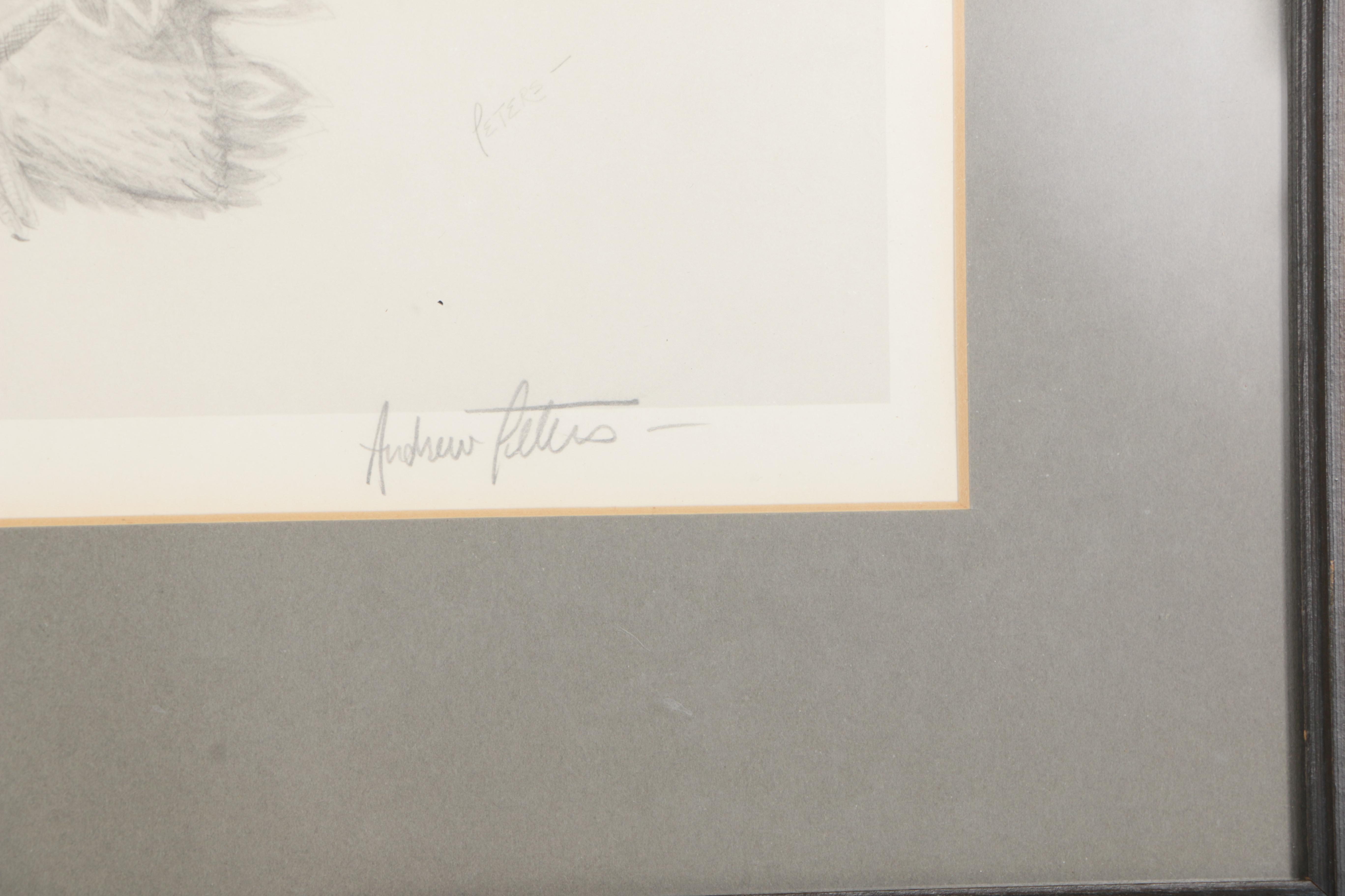 Andrew Peters Limited Edition Offset Lithograph "Spring Pair- Mallards"