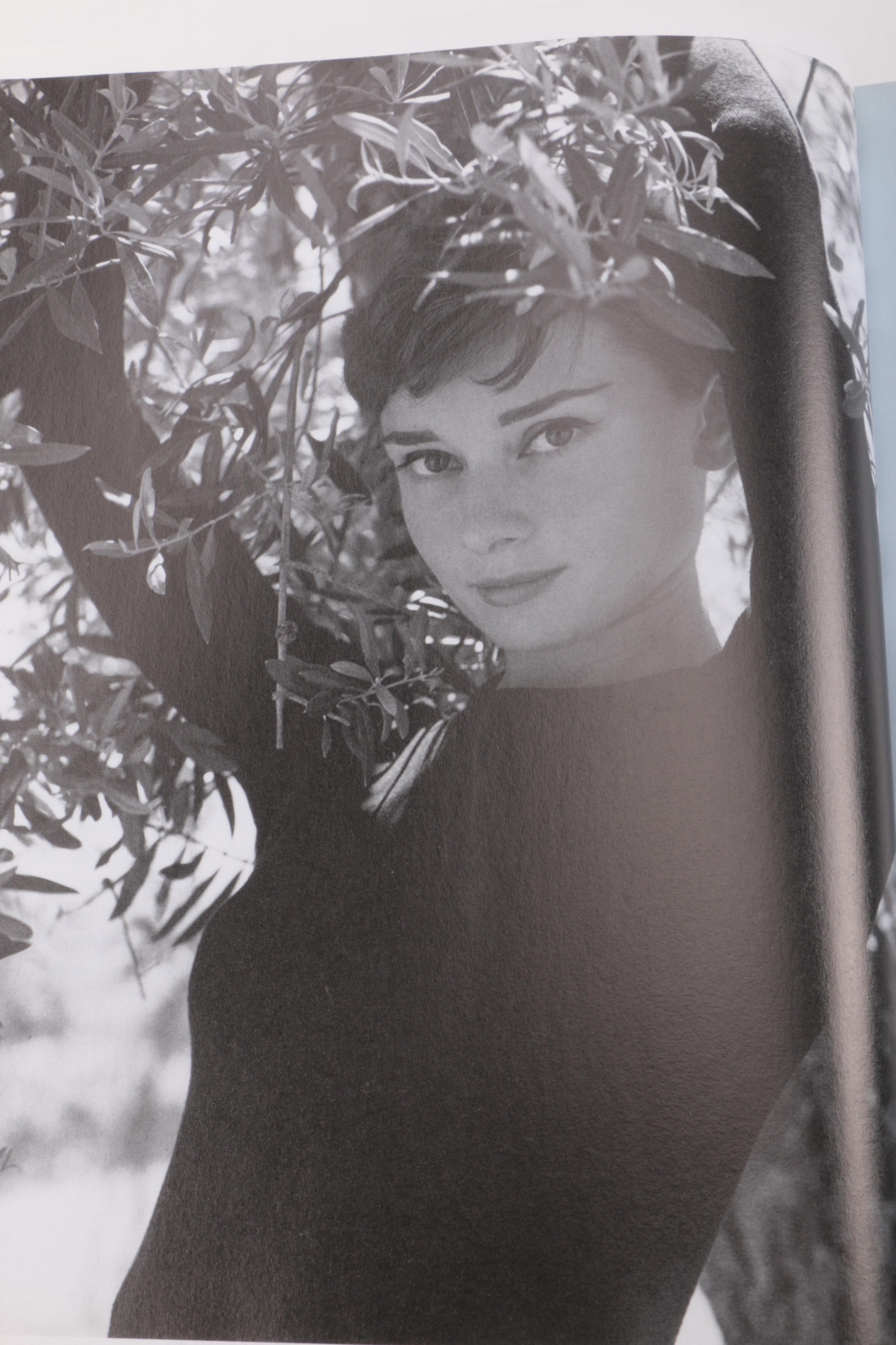 Biographies and Memoirs