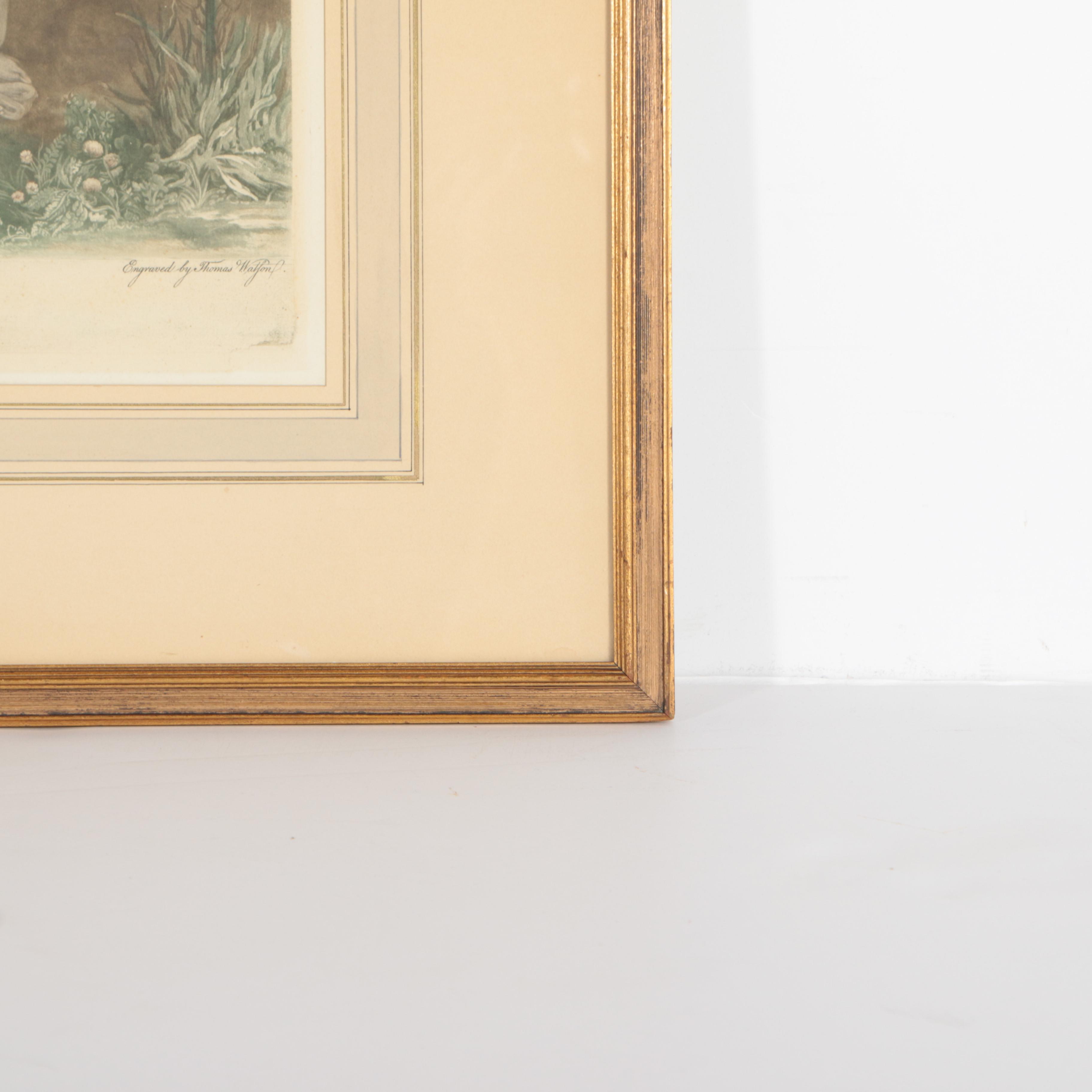 Restrike Mezzotint After Sir Joshua Reynolds' "Lady Bampfylde"