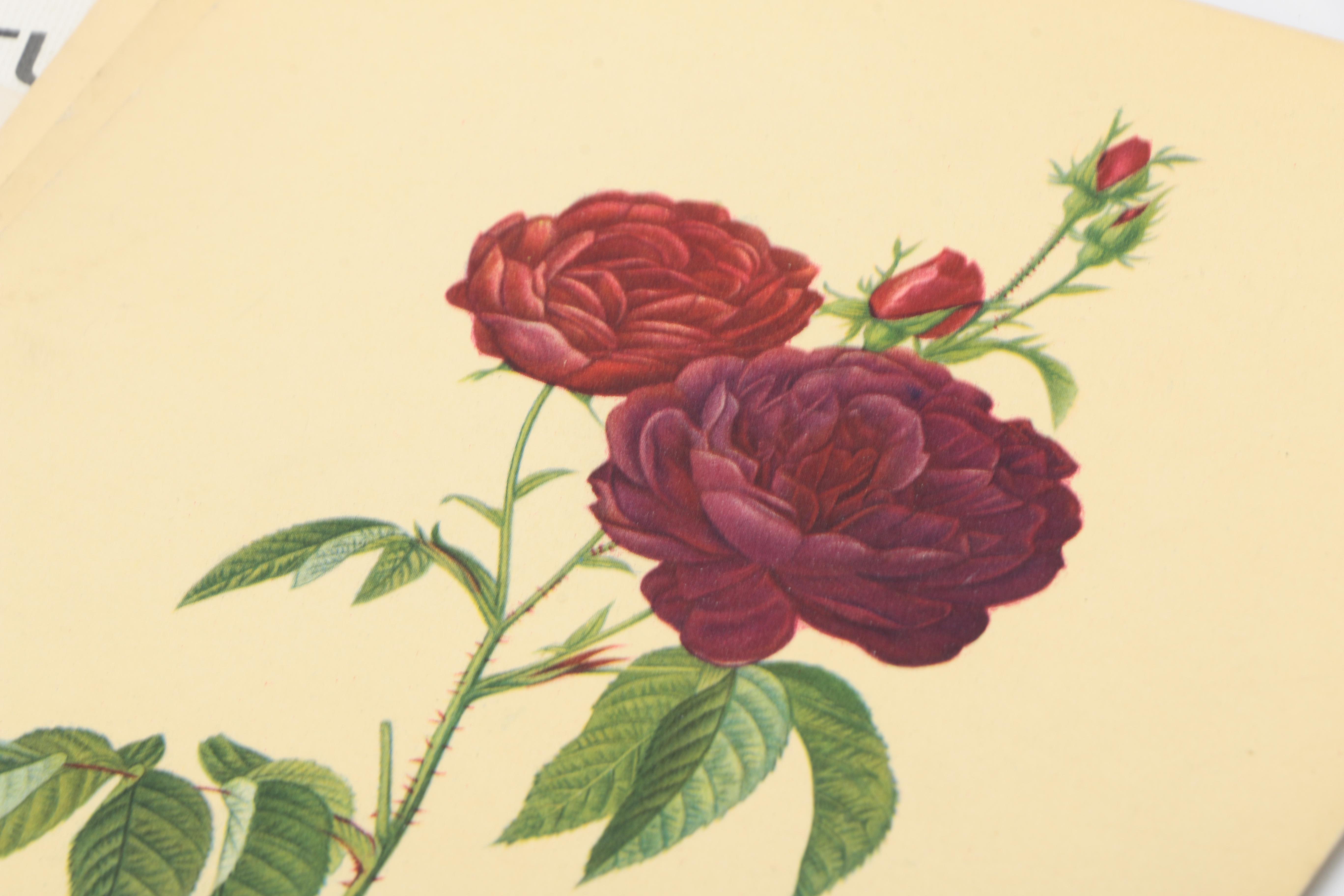 Ephemera Including "Cissy Gregg's Cook Book, Volume 1"